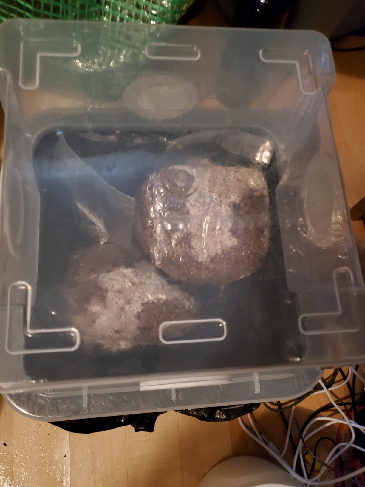 Myco Labs Grower's Select Mushroom Monotub Fruiting Chamber with Filter Disks and Liner customer photo 2