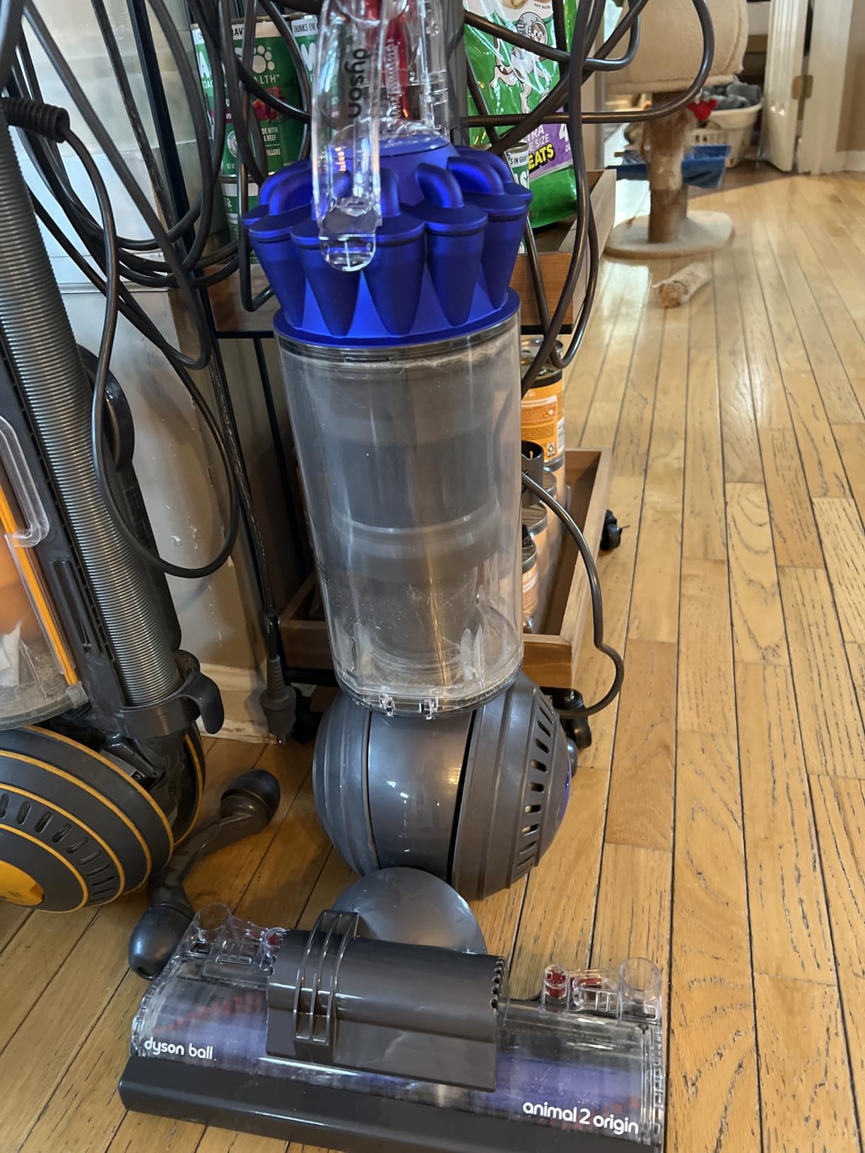 Dyson Ball Animal 2 Origin Upright Corded Vacuum Cleaner: HEPA Filter, Height Adjustment, Self-Adjusting Cleaner Head, Telescopic Handle, Rotating Brushes (Blue) (Renewed) customer photo 1