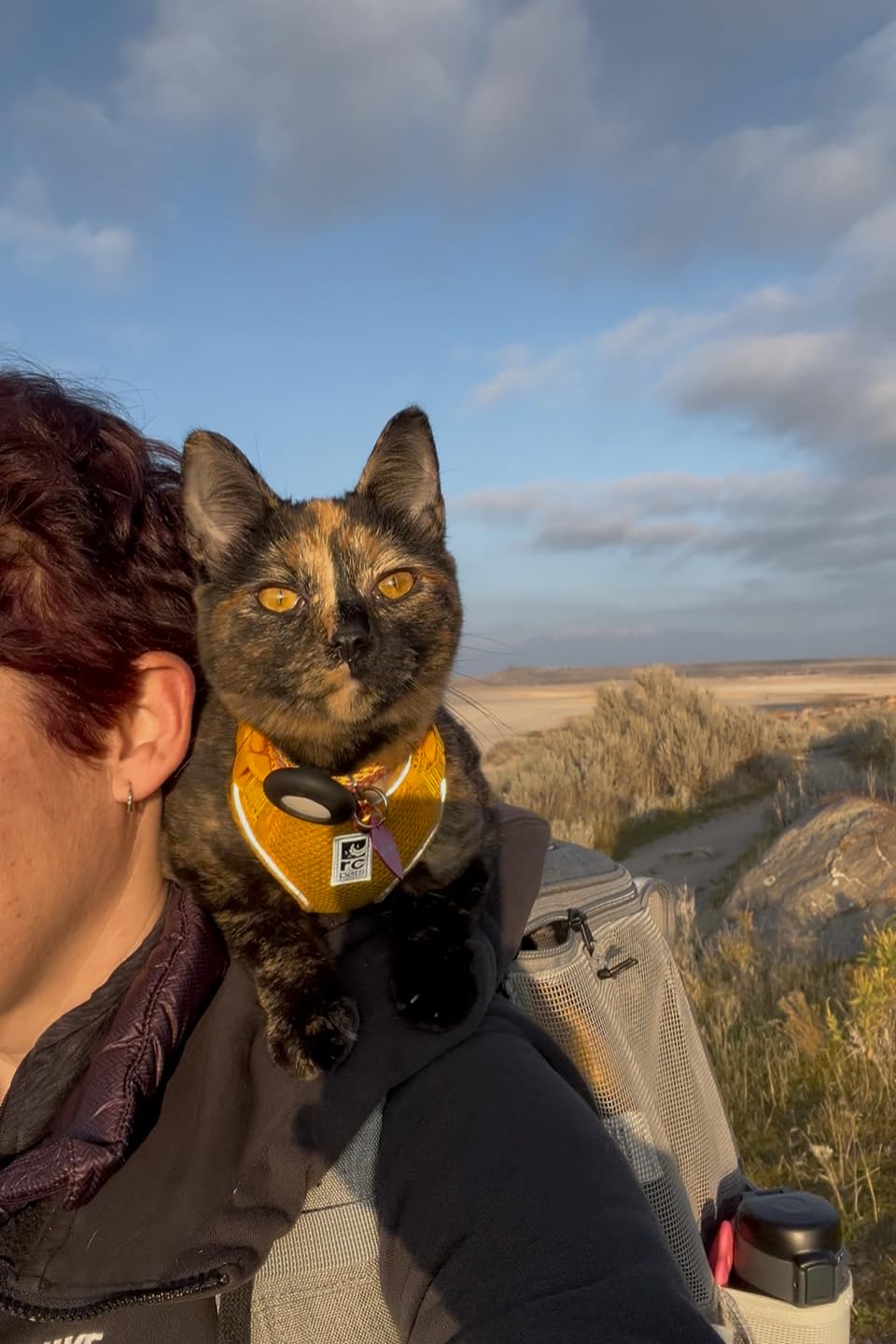 Travel Cat Backpack Carrier - The Navigator Convertible Pet Carrier Backpack - Cat Carrier Backpack with Fully Ventilated Mesh (Earth) customer photo 1
