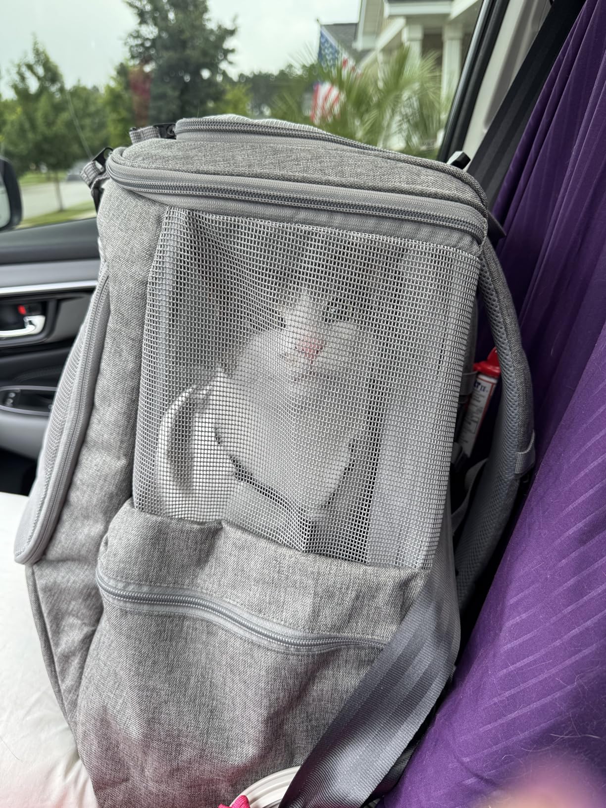 Travel Cat Backpack Carrier - The Navigator Convertible Pet Carrier Backpack - Cat Carrier Backpack with Fully Ventilated Mesh (Earth) customer photo 2