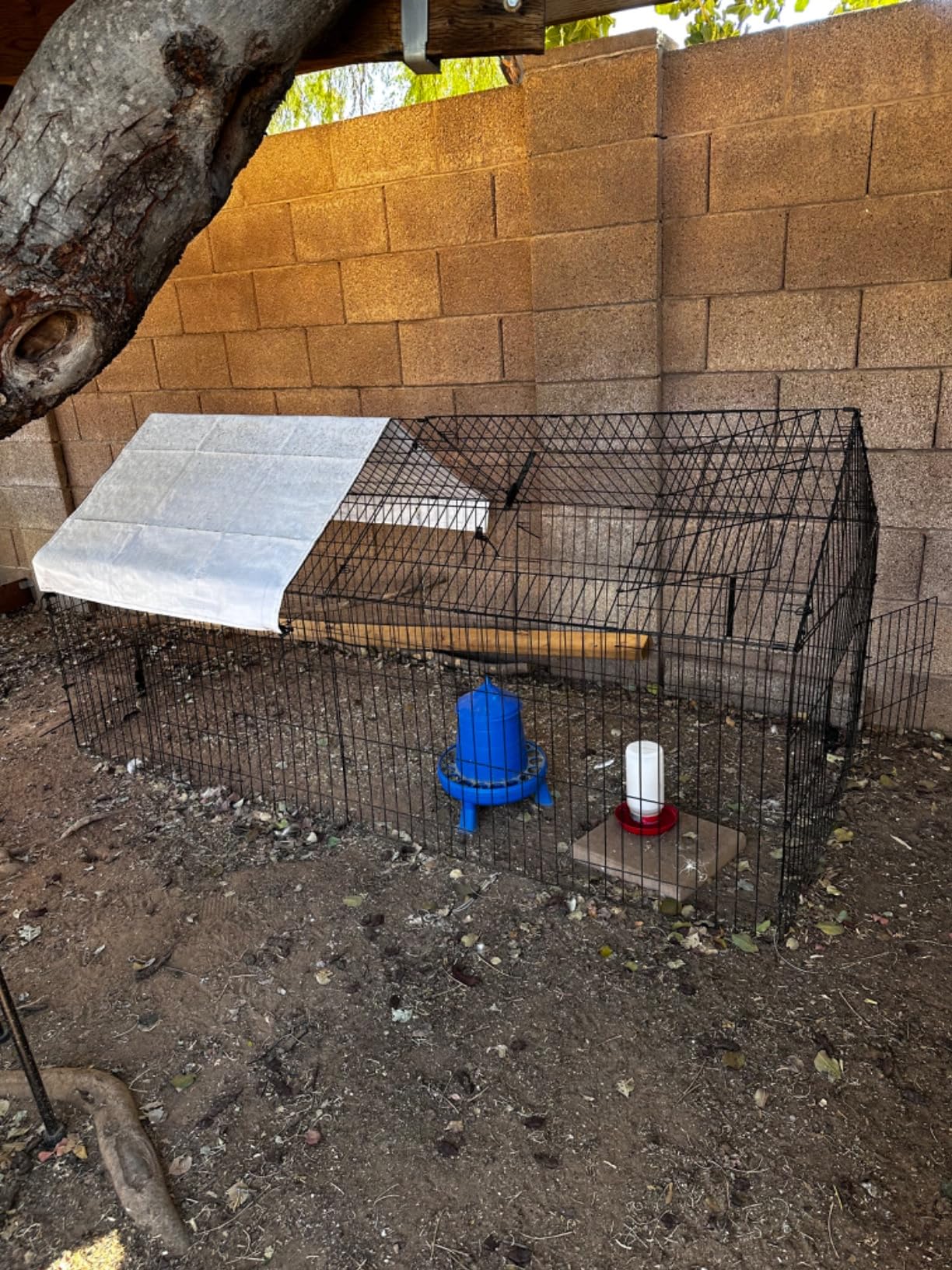 Metal Chicken Coop 86