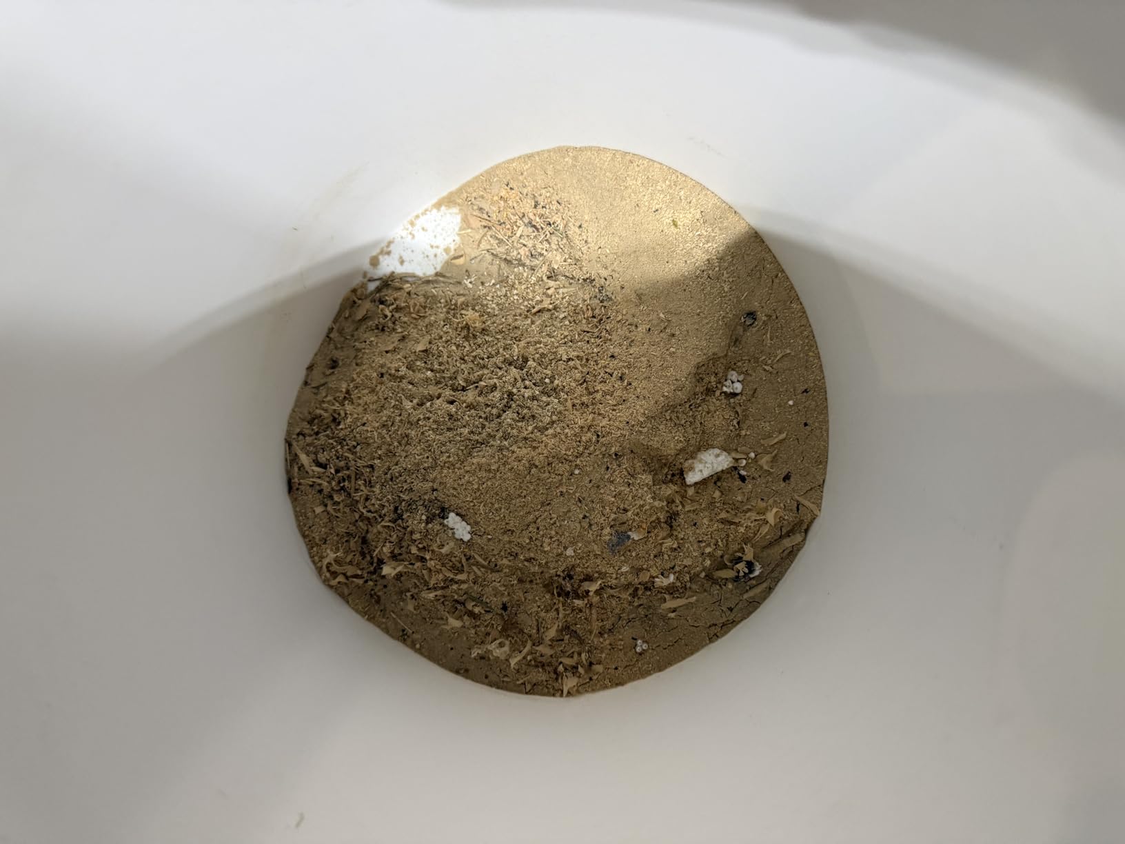 The Dustopper PRO, Low-Profile Dust Separator for Shop Wet/Dry Vacuums. Includes High-Flow 90 Degree Sweep Elbows and Connection Hose. Fits Standard 5 Gallon Buckets, Made in USA customer photo 2
