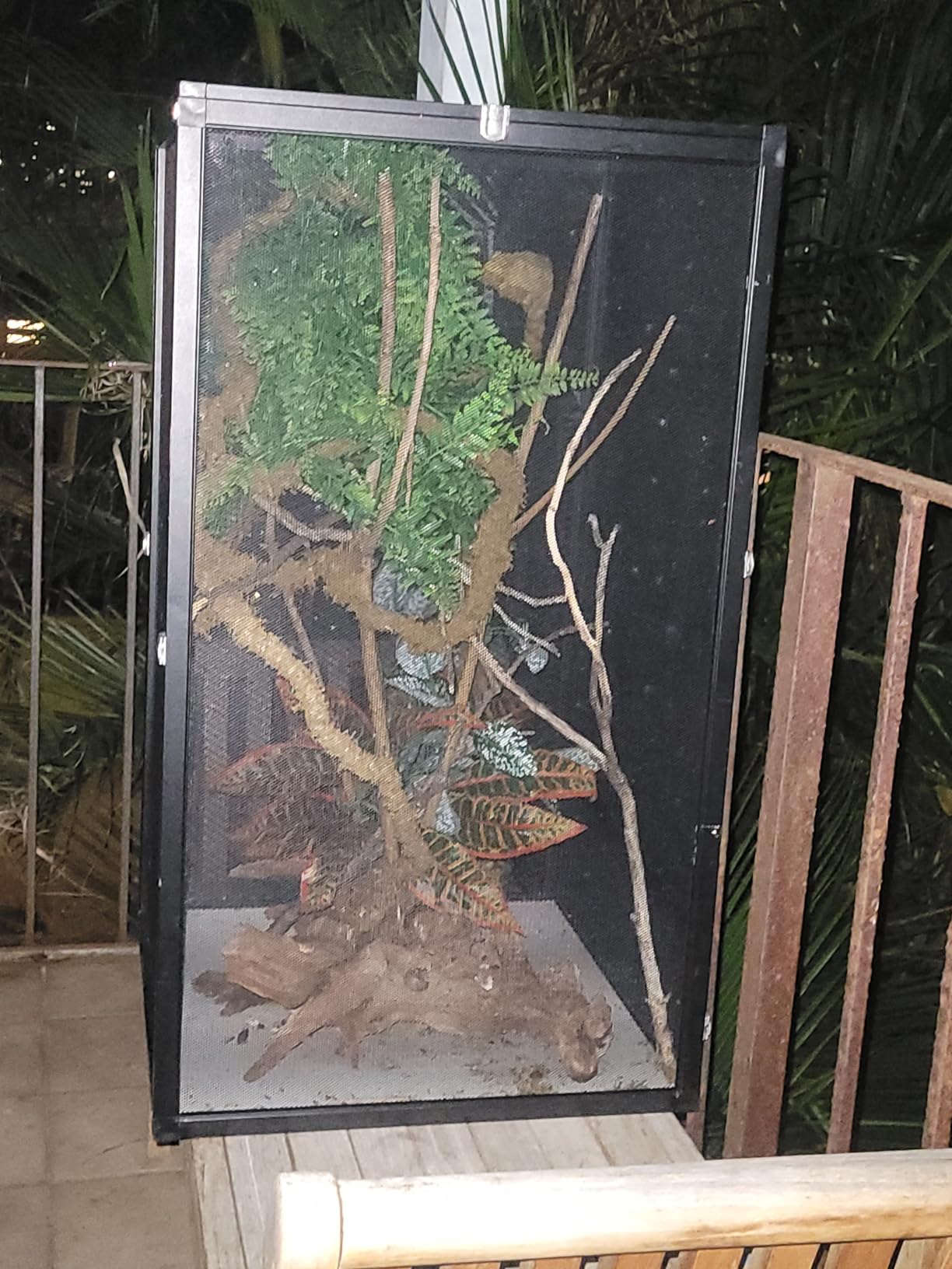 45 Gal Detachable and Foldable Reptile Butterfly Cage Terrarium, 360° Observation, Airflow, Interaction in Gecko Tank for Crested Geckos, Leopard Geckos, Chameleons, Bearded Dragons customer photo 1