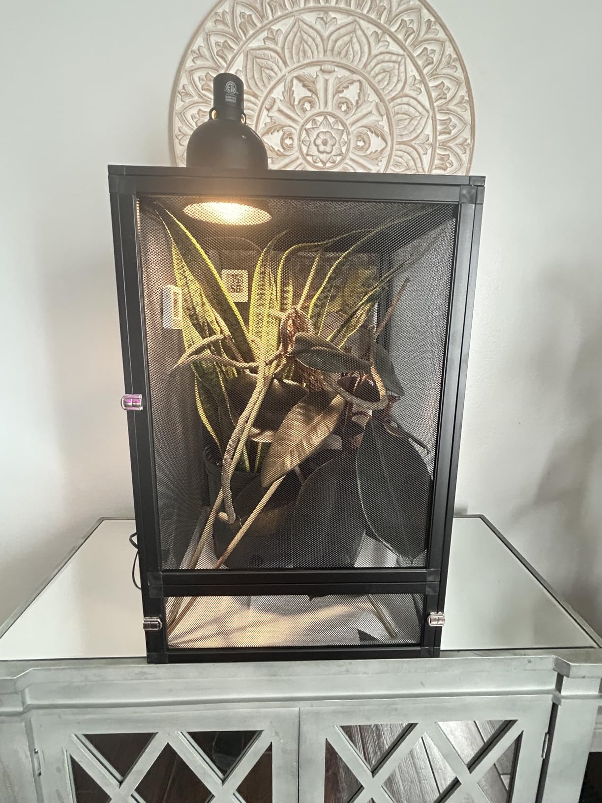 45 Gal Detachable and Foldable Reptile Butterfly Cage Terrarium, 360° Observation, Airflow, Interaction in Gecko Tank for Crested Geckos, Leopard Geckos, Chameleons, Bearded Dragons customer photo 2