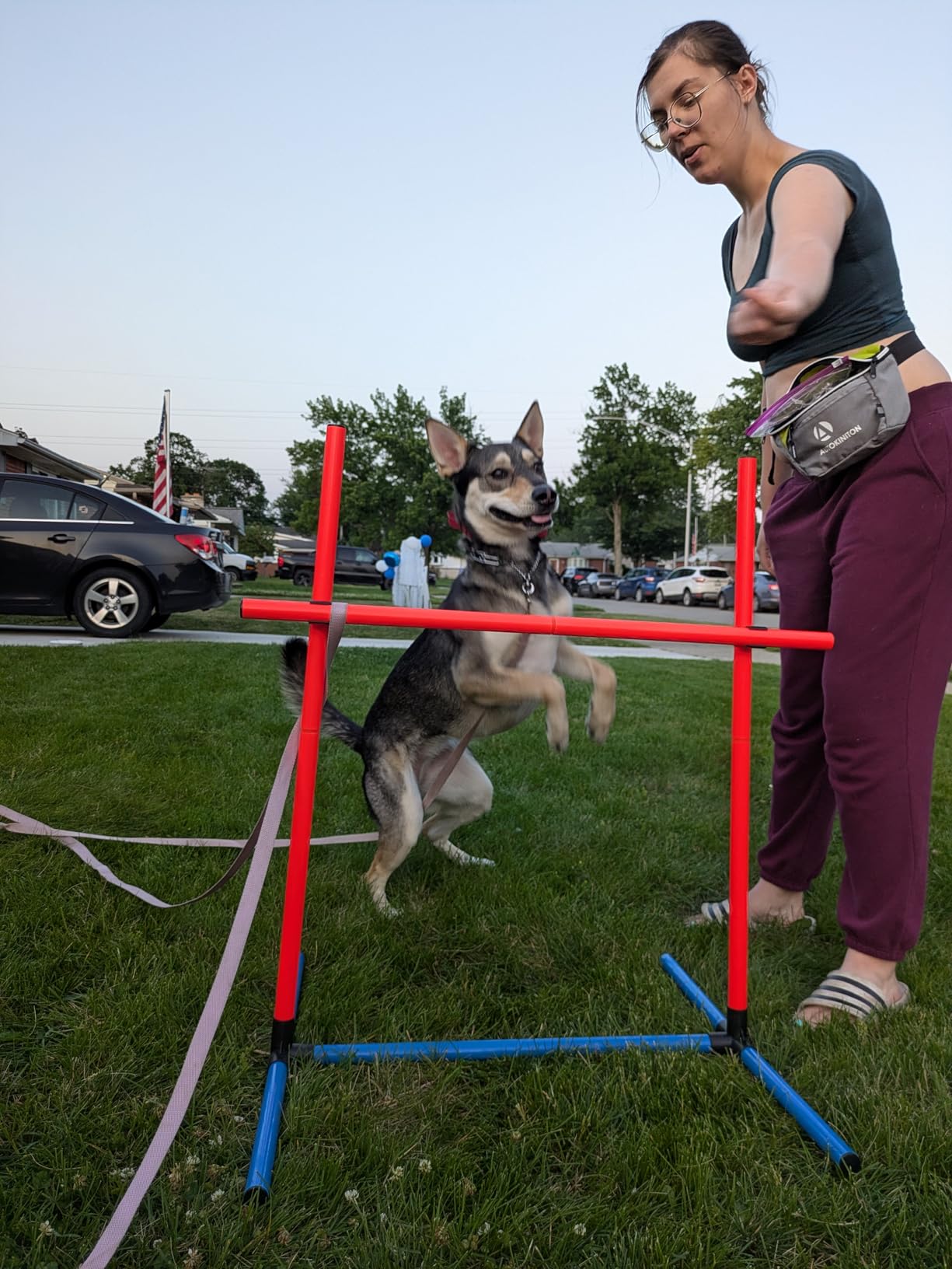 Dog Agility Training Equipment, Dog Obstacle Course Training Starter Kit Pet , Jump Pole, Jump Ring, Pause Box,Storage Bag,Dog Agility Course,Dog Hurdles,Dog Jumps,Outdoor or Indoor Game(3-Sets) customer photo 1