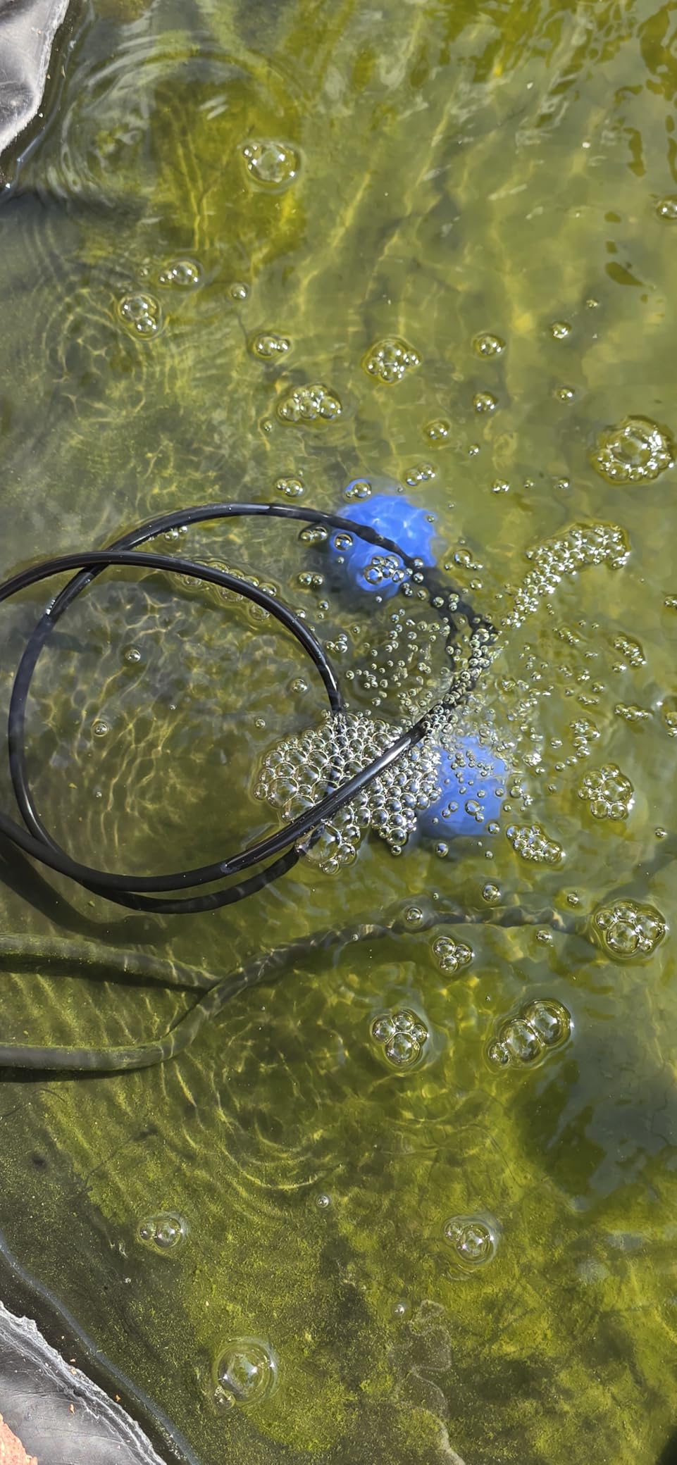 AquaMiracle Koi Pond Aerator for Pond up to 1000 & 2000 Gallons, All-in-One Pond Air Pump Aeration Kit with Air Stones Airline Tubing Check Valves customer photo 2