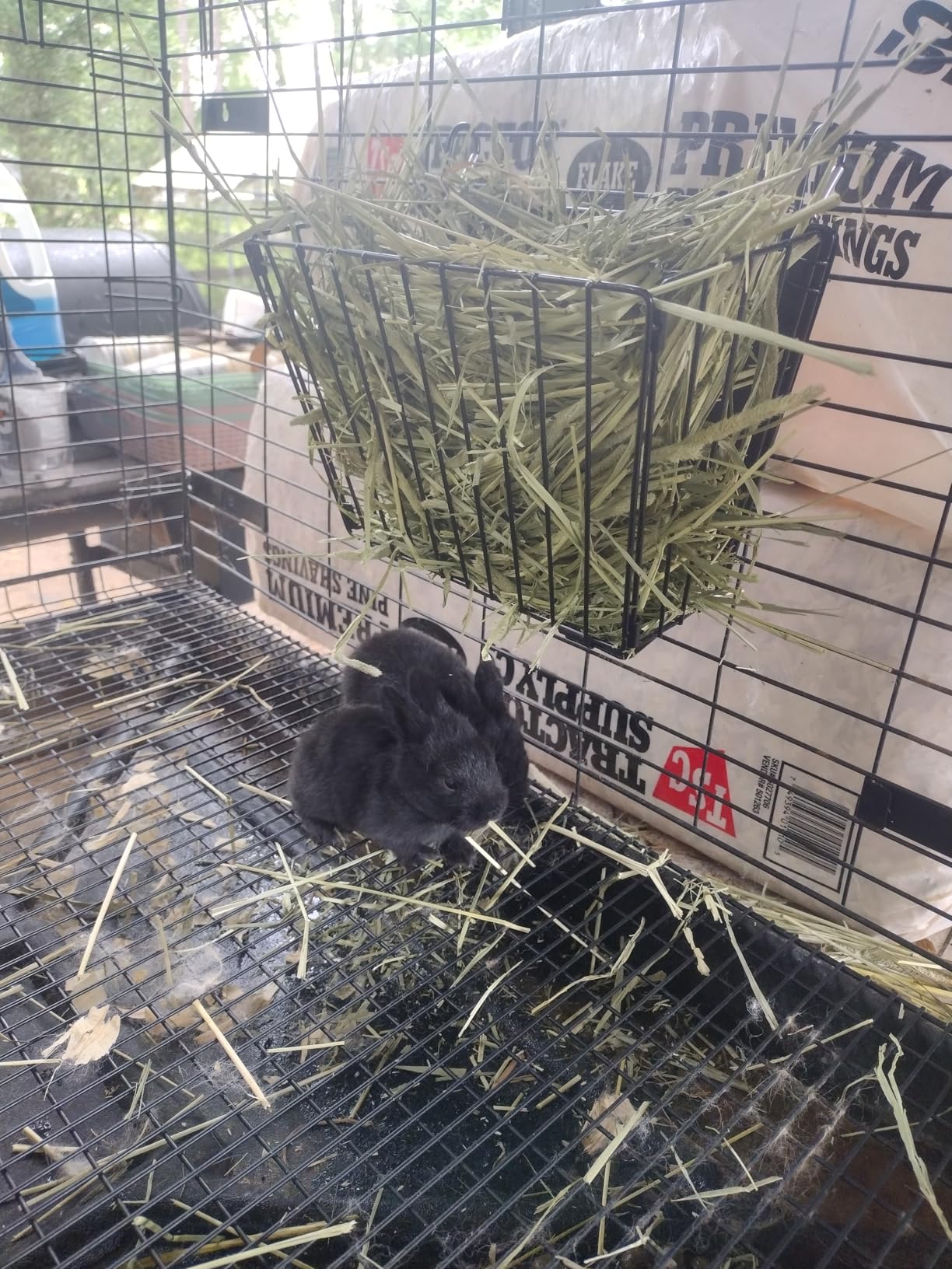 X Large Rabbit Hay Feeder Guinea Pig Hay Feeder Metal Frame Bunny Hay Holder Guinea Pig Hay Holder for Bunny, Guinea Pigs, Chinchillas, Small Animals customer photo 2
