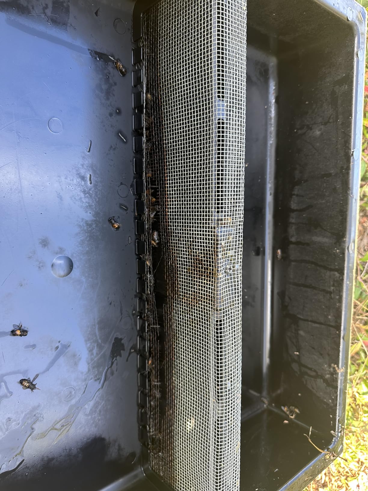 Mann Lake Honey Bee Top Feeder for Beehives, Leakproof Plastic Syrup Reservoir with Galvanized Safety Screen, Fits Standard 10-Frame Hives, Heavy-Duty Refillable Beekeeping Insert customer photo 2