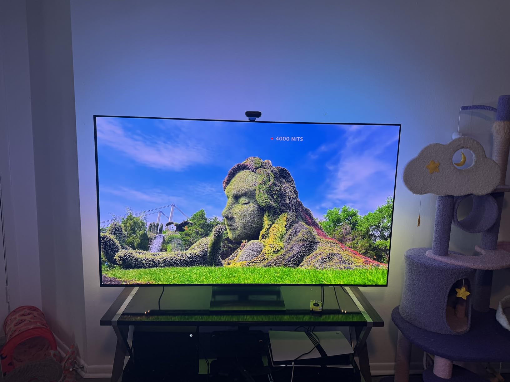 Samsung 55-Inch Class OLED 4K S90D Series HDR+ Smart TV w/Dolby Atmos, Object Tracking Sound Lite, Motion Xcelerator, Real Depth Enhancer, 4K AI Upscaling, Alexa Built-in (QN55S90D, 2024 Model) customer photo 2