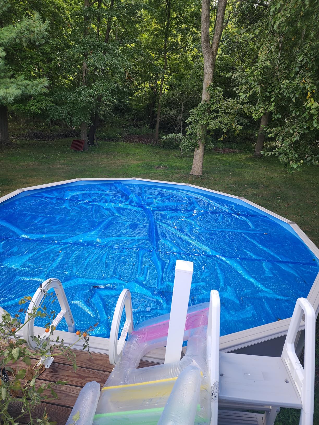 In The Swim 15' Standard Blue Round Solar Pool Cover 8 Mil for Solar Heating Above Ground Pools and Inground Pools customer photo 1