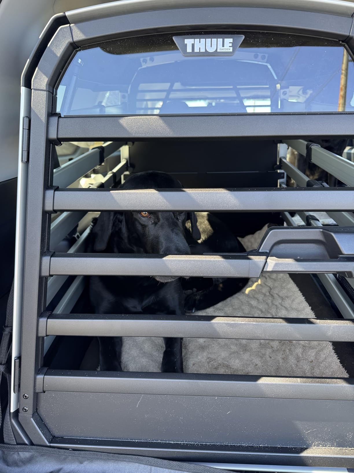 Thule Allax Dog Crate XL - High-Strength Construction for Vehicle Travel customer photo 1