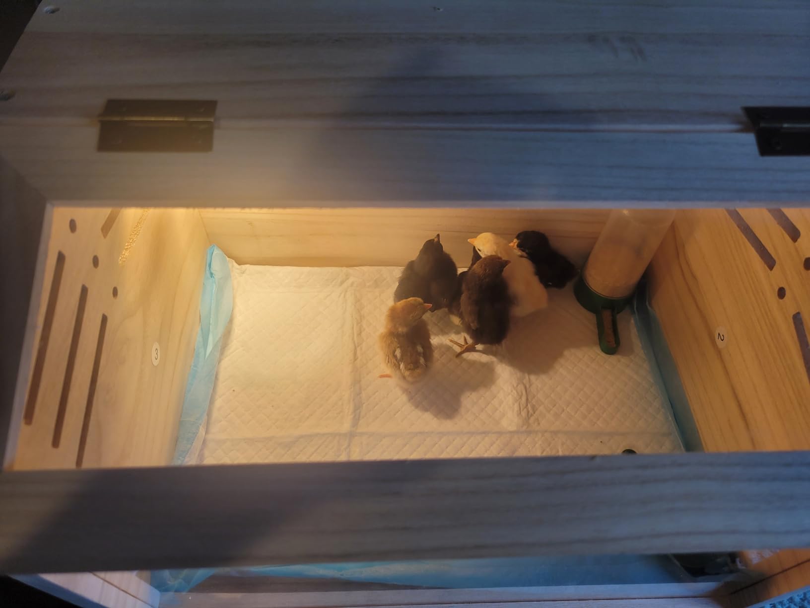 Wooden Single Compartment Chicken Nesting Box for Outdoor Coop - Comfortable Laying Box for Hens, Ducks and Poultry with Easy-Clean Design and Ventilated Egg Laying Space for Backyard Chickens customer photo 1