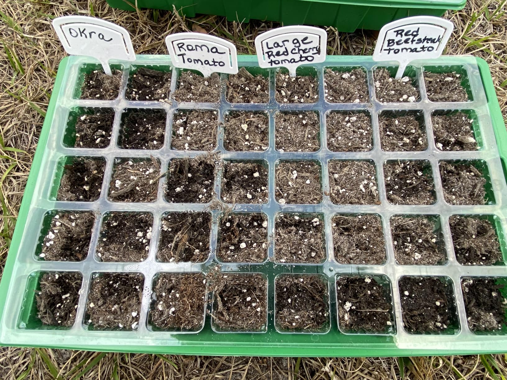55 Vegetable Seeds Variety Pack - 35,600+ Non-GMO Heirloom Seeds for Planting Vegetables and Fruits in Individual Seed Packets, Home Garden Seeds for Hydroponic, Indoor and Outdoors Gardening customer photo 1