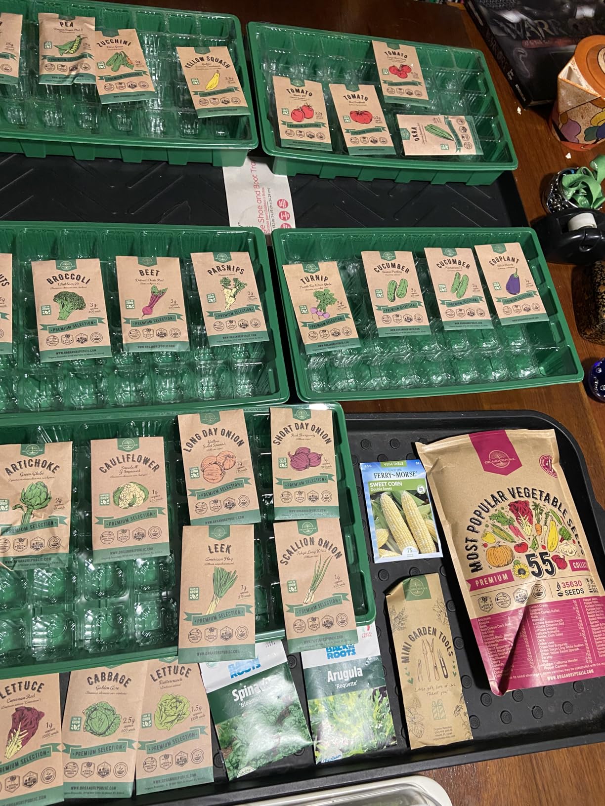 55 Vegetable Seeds Variety Pack - 35,600+ Non-GMO Heirloom Seeds for Planting Vegetables and Fruits in Individual Seed Packets, Home Garden Seeds for Hydroponic, Indoor and Outdoors Gardening customer photo 2