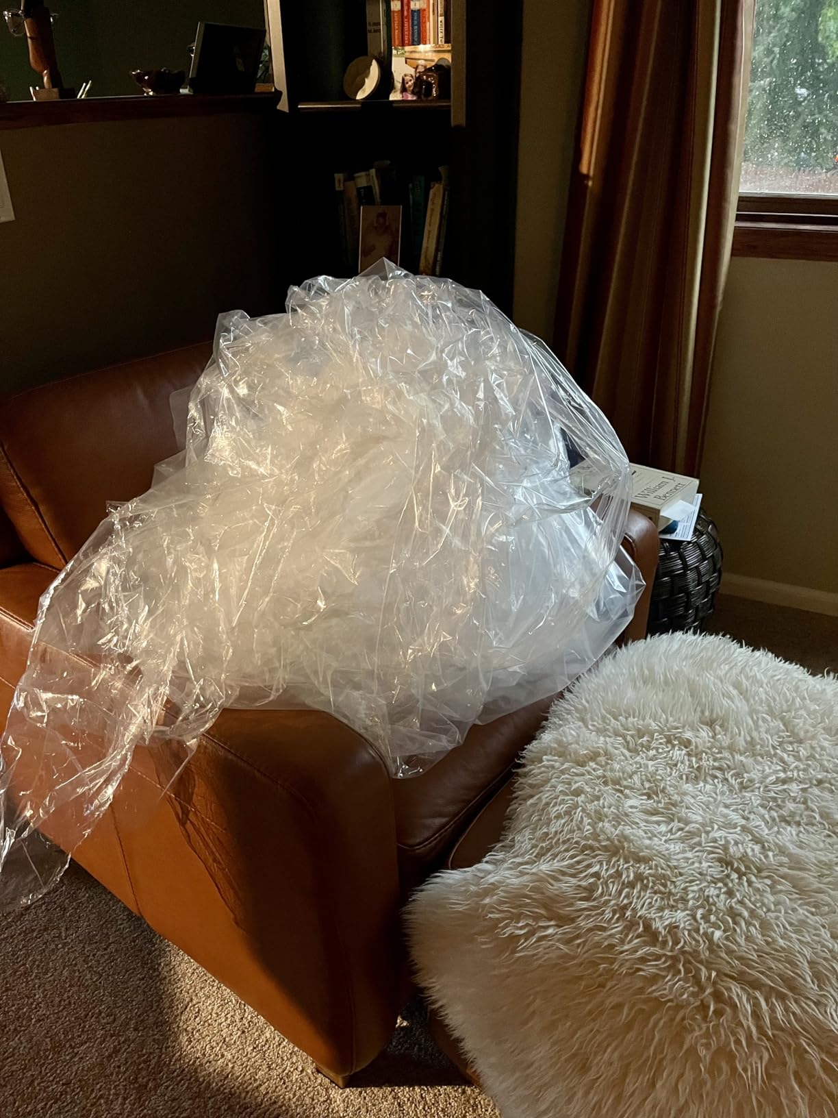 Kiwi Organic Mattress (Queen) customer photo 1