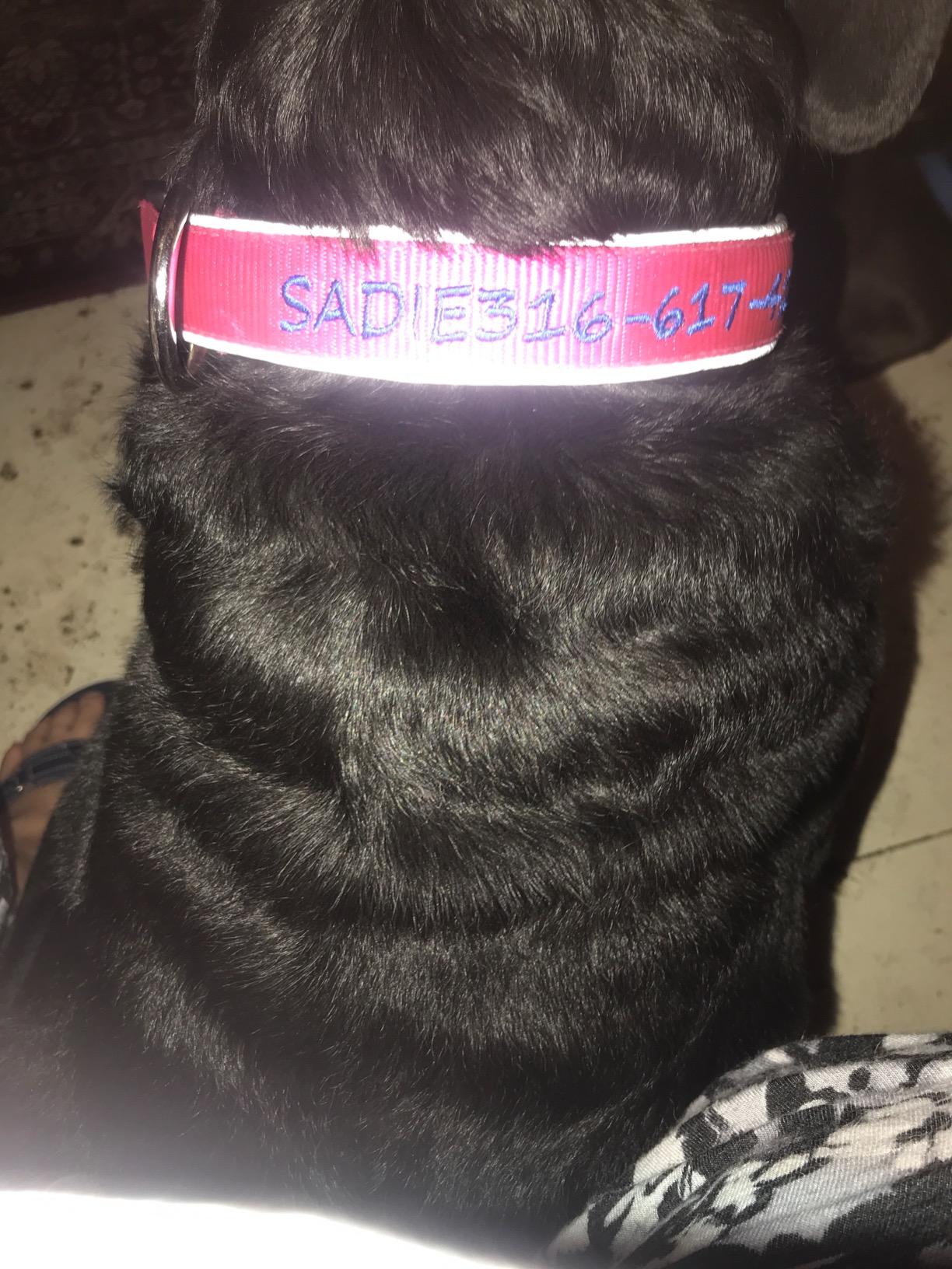 Personalized Cotton Hemp Dog Collar, Custom Embroidered with Pet Name and Phone Number, Natural Hemp Fibers Perfect for Dogs with Sensitive Skin, 4 Adjustable Sizes for Small, Medium, Large Dogs customer photo 2
