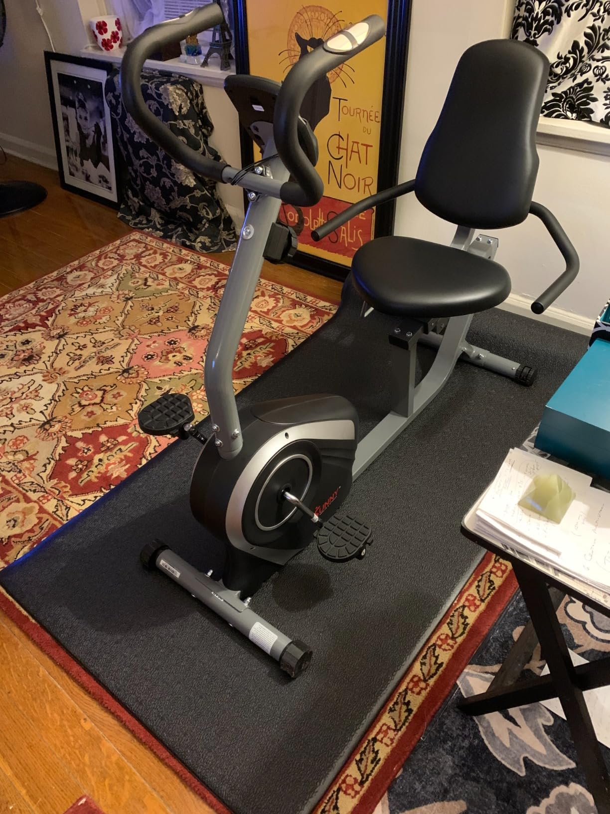 Sunny Health & Fitness Smart Recumbent Bike, Wide Cushioned Seat & Back, Indoor Cycling Machine for Adult/Seniors Home Exercise, Free SunnyFit App Connection customer photo 2
