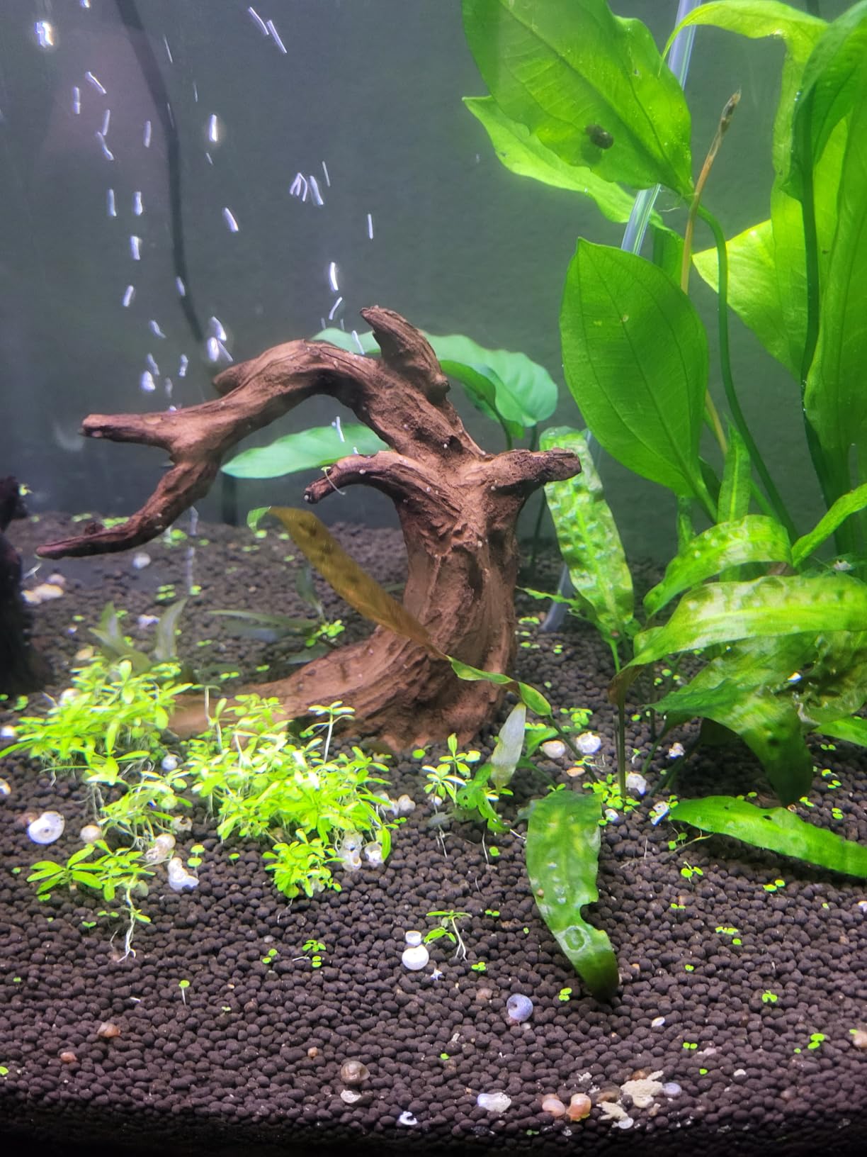 FZONE Driftwood for Aquarium Resin Model pH Neutral Aquarium Rocks for Aquascaping,Hardscape customer photo 1