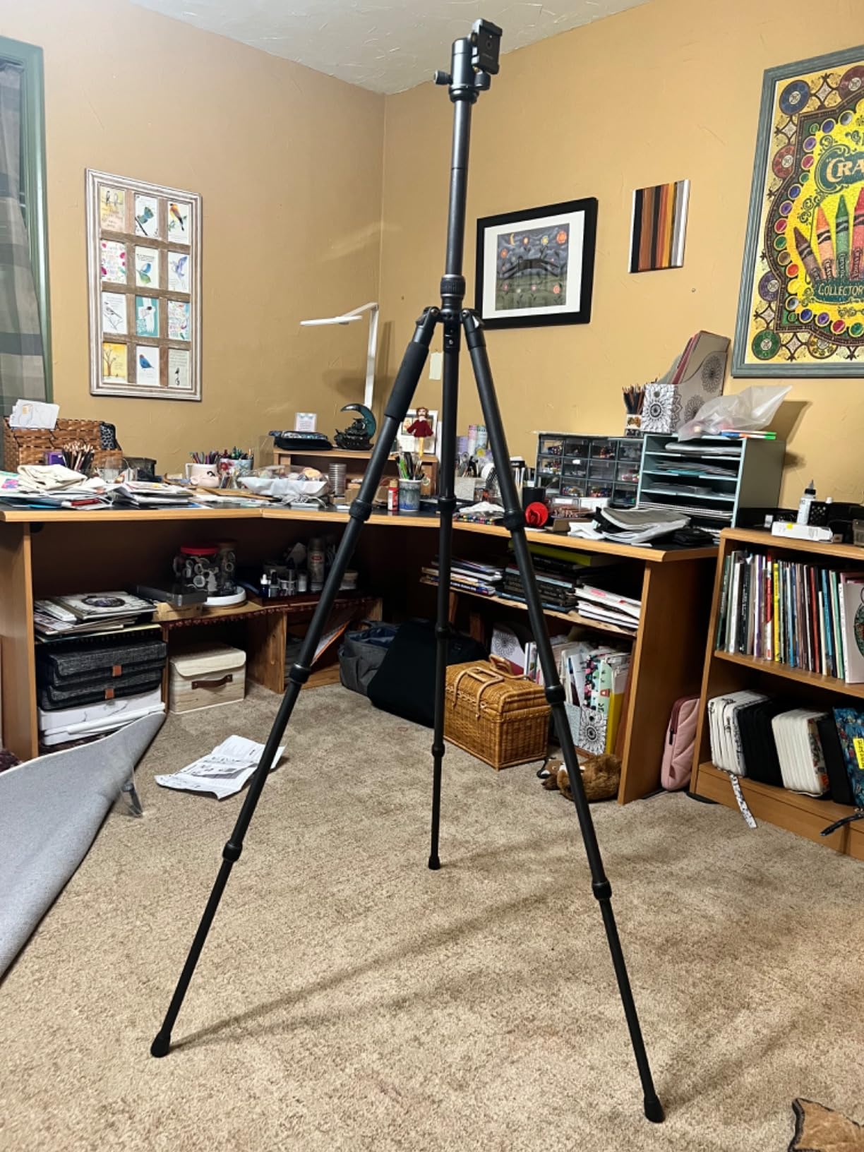Vanguard Vesta GO 264CB Carbon Fiber Travel Tripod with VEO BH-60 Ball Head customer photo 2