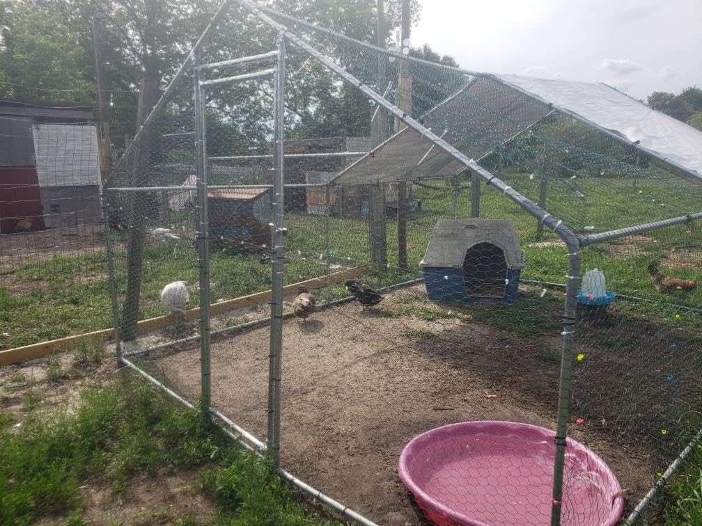 Large Metal Chicken Coop Chicken Pen with Water-Resident and Anti-UV Cover Walk-in Poultry Cage Chicken Runs for Yard with Cover Duck Rabbit Dog House Outdoor customer photo 1
