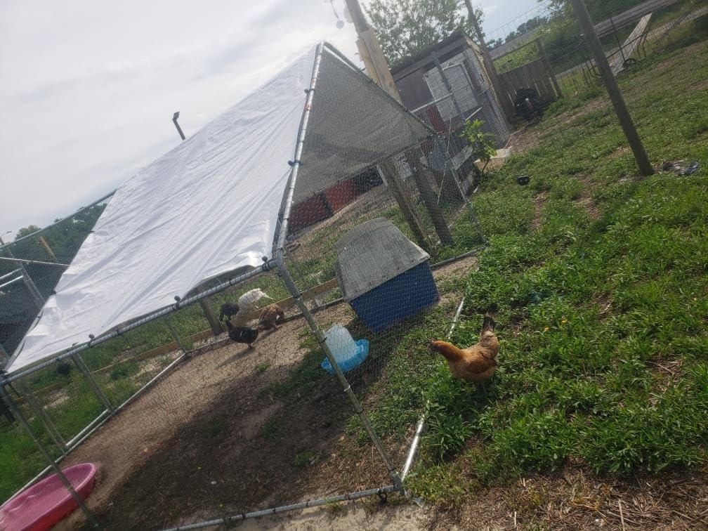 Large Metal Chicken Coop Chicken Pen with Water-Resident and Anti-UV Cover Walk-in Poultry Cage Chicken Runs for Yard with Cover Duck Rabbit Dog House Outdoor customer photo 2