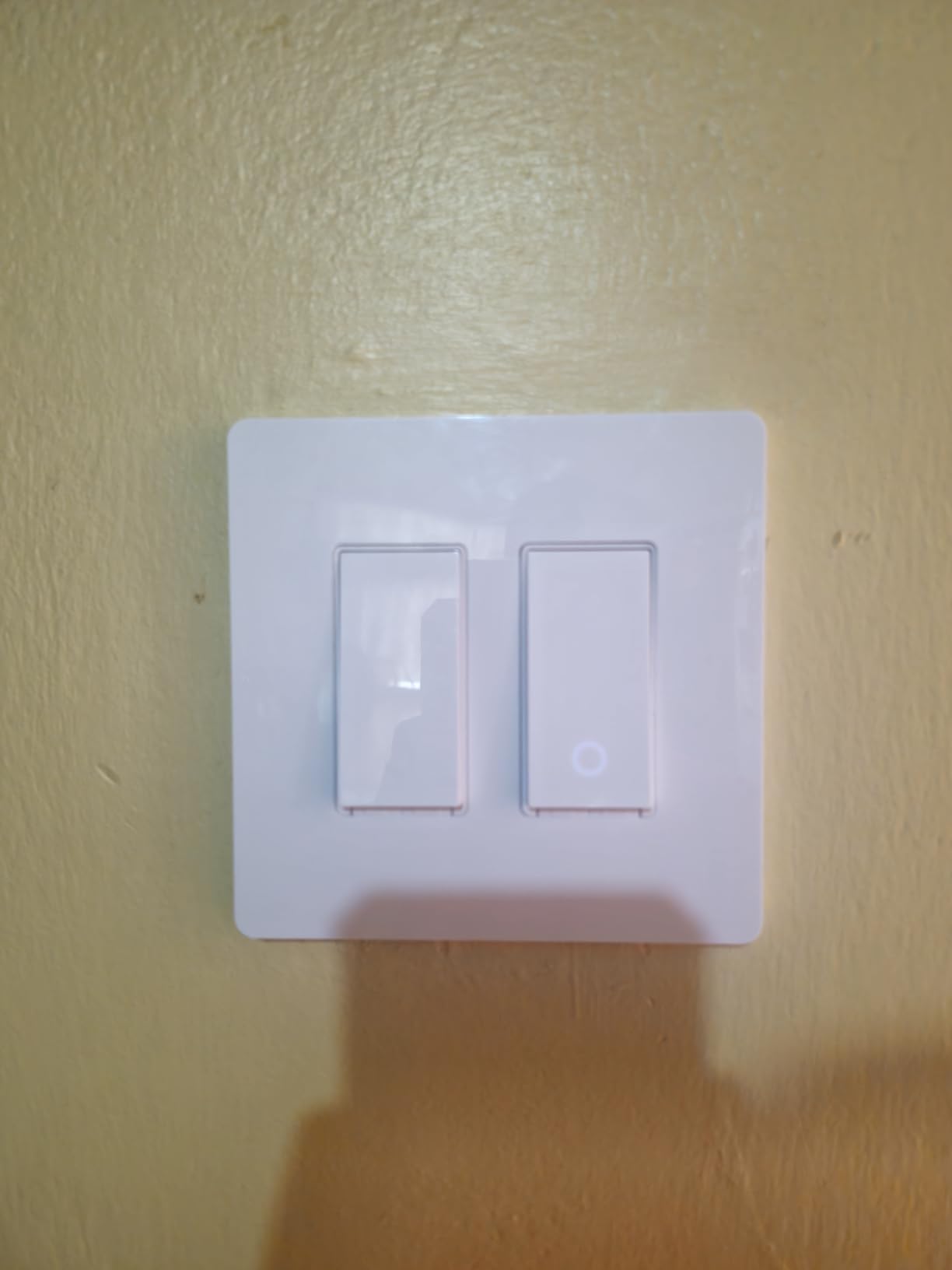 Kasa Smart Dimmer Switch 2-Gang HS220-2, Single Pole, Needs Neutral Wire, 2.4GHz Wi-Fi Light Switch Compatible with Alexa and Google Home, UL Certified, No Hub Required, White customer photo 2