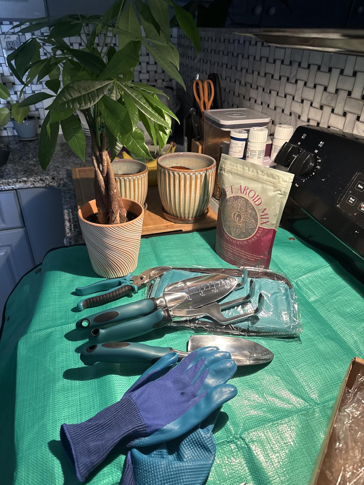 Kynup Garden Tools, 7 Piece Gardening Gift for Women&Men, Gardening Hand Tools Set, Ideal Gardening Supplies, Essentials, Garden Stuff, Rust-Proof, Stainless Steel, Aluminum Alloy Material customer photo 1