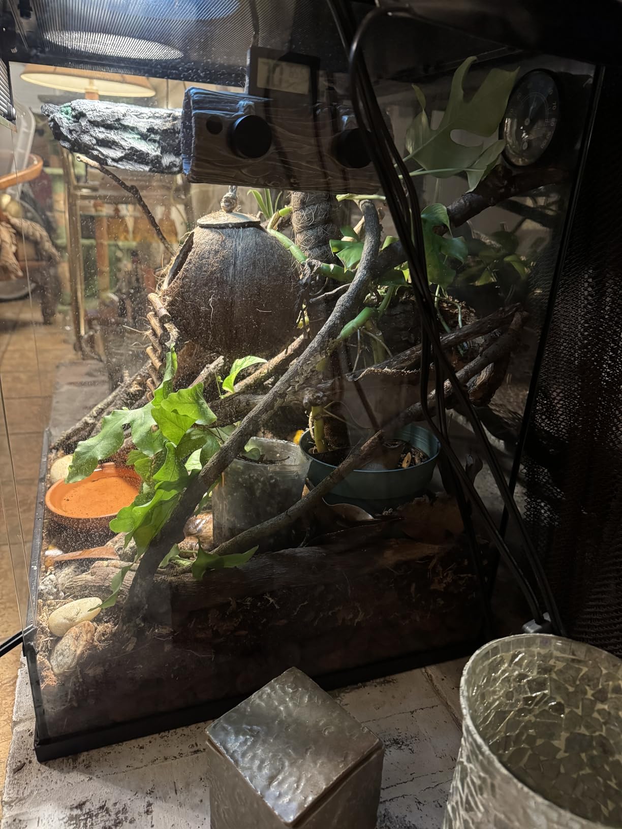 REPTIZOO Magnetic Reptile Hide Cave Resin Hollow Tree Trunk Hideout, Gecko Hide with Strong Magnetic Climbing Toy Reptile Tank Accessories for Crested Gecko,Lizard, Terrarium Decor customer photo 1