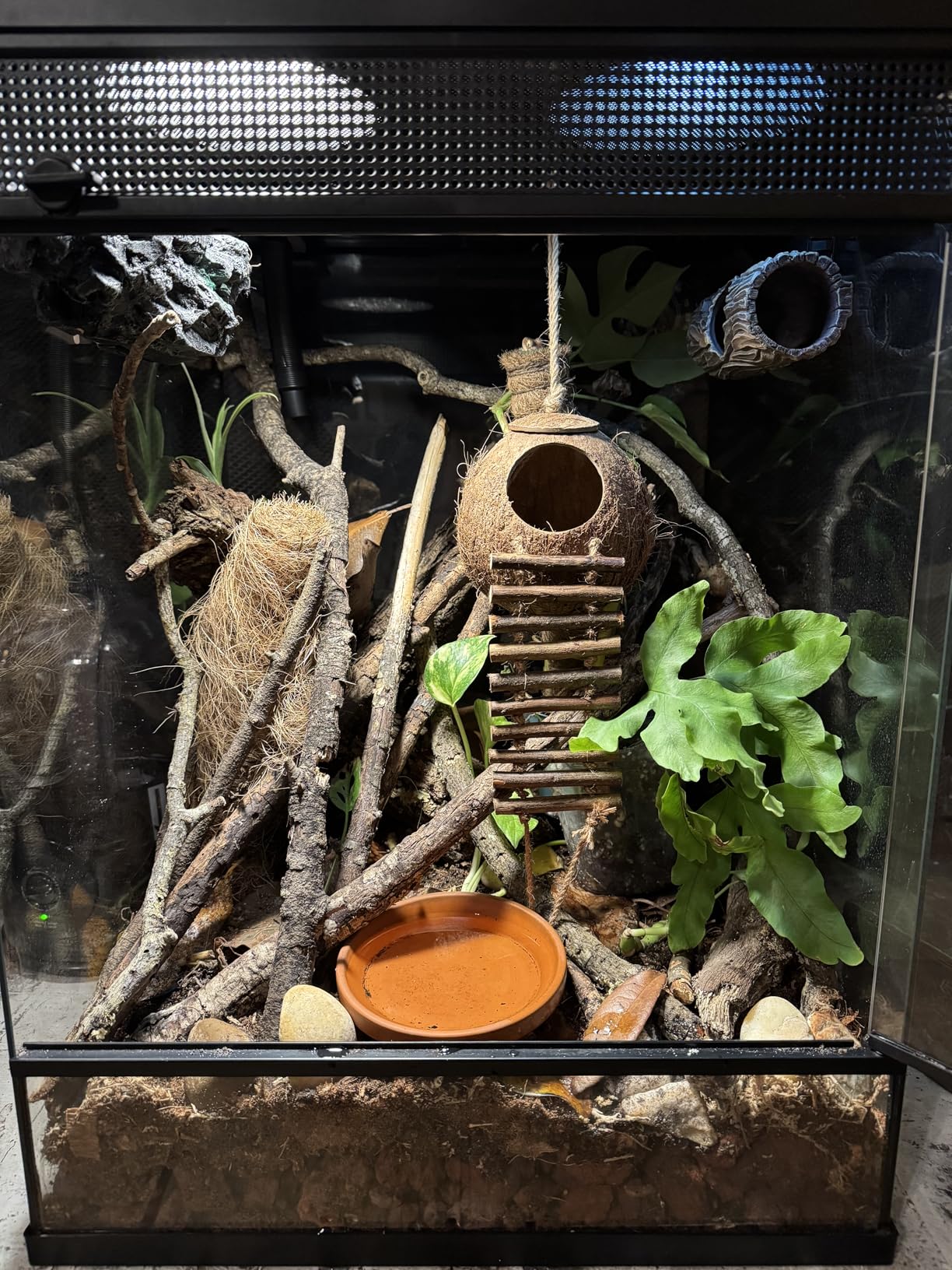 REPTIZOO Magnetic Reptile Hide Cave Resin Hollow Tree Trunk Hideout, Gecko Hide with Strong Magnetic Climbing Toy Reptile Tank Accessories for Crested Gecko,Lizard, Terrarium Decor customer photo 2
