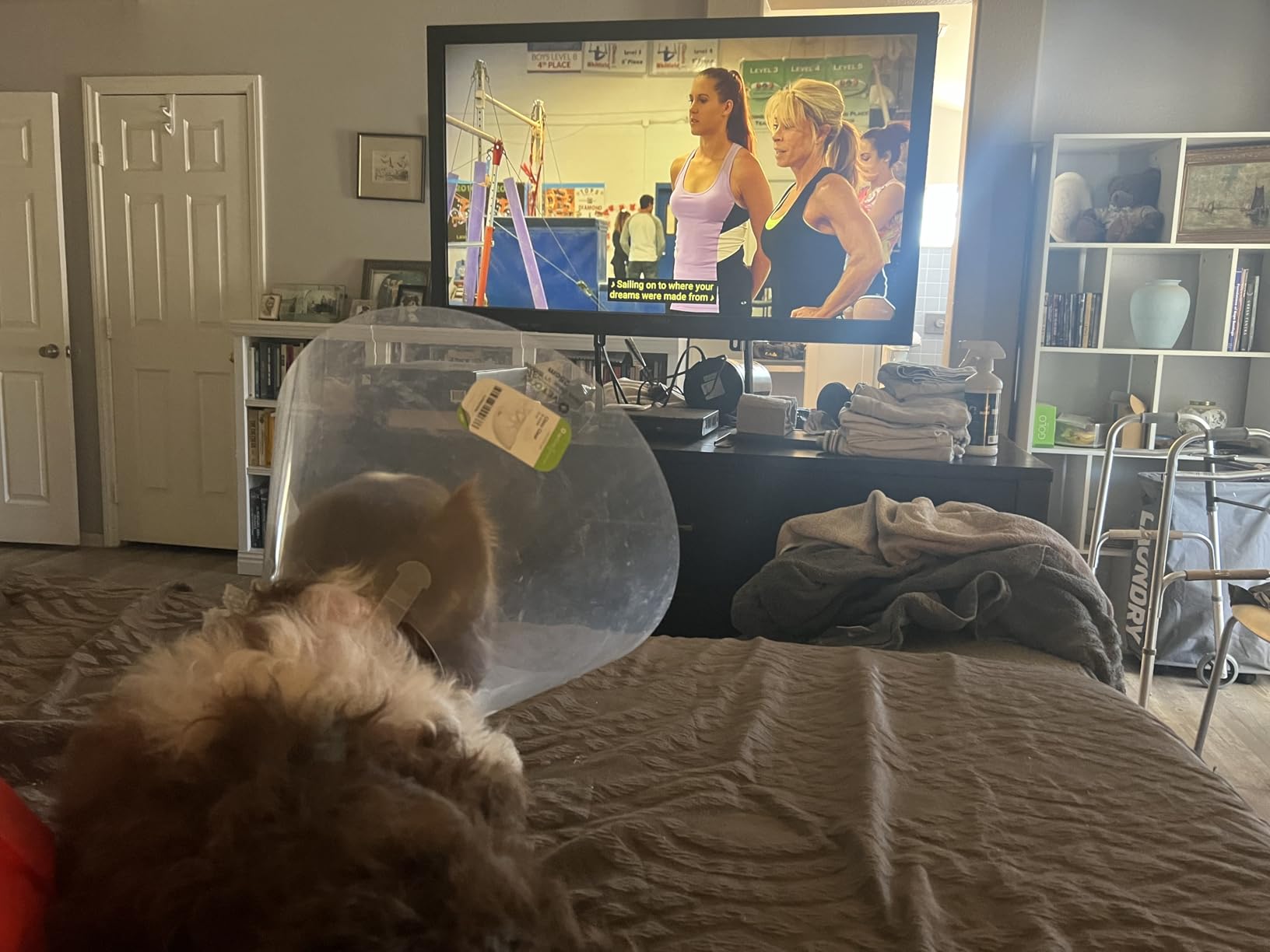 TCL 65-Inch Class S5 UHD 4K LED Smart TV with Fire TV (65S551F, 2024), Dolby Vision, HDR PRO+, Atmos, Alexa Built-in customer photo 1