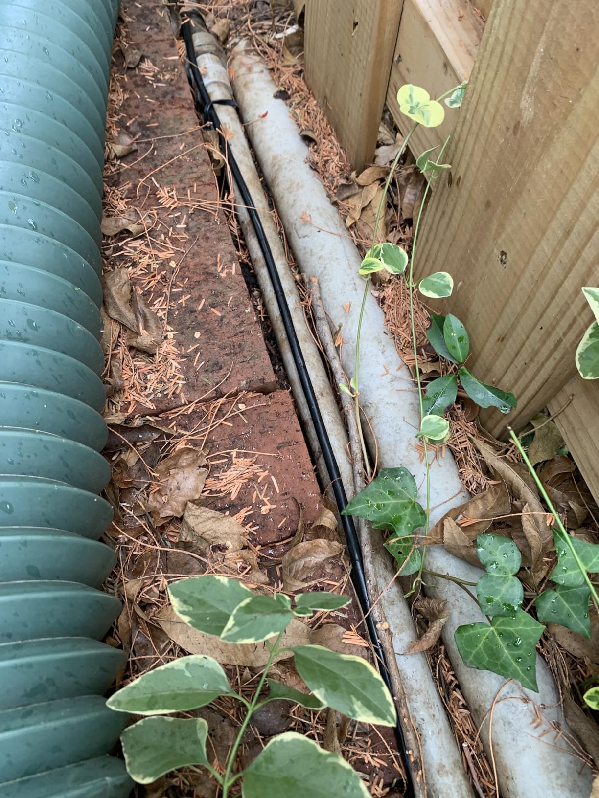 GEARit Cat6 Outdoor Ethernet Cable (100ft) 23AWG Pure Copper, FTP, LLDPE, Waterproof, Direct Burial, In-Ground, UV Resistant, POE, Network, LAN, Internet, Cat 6, Cat6 Cable - 100 Feet customer photo 2