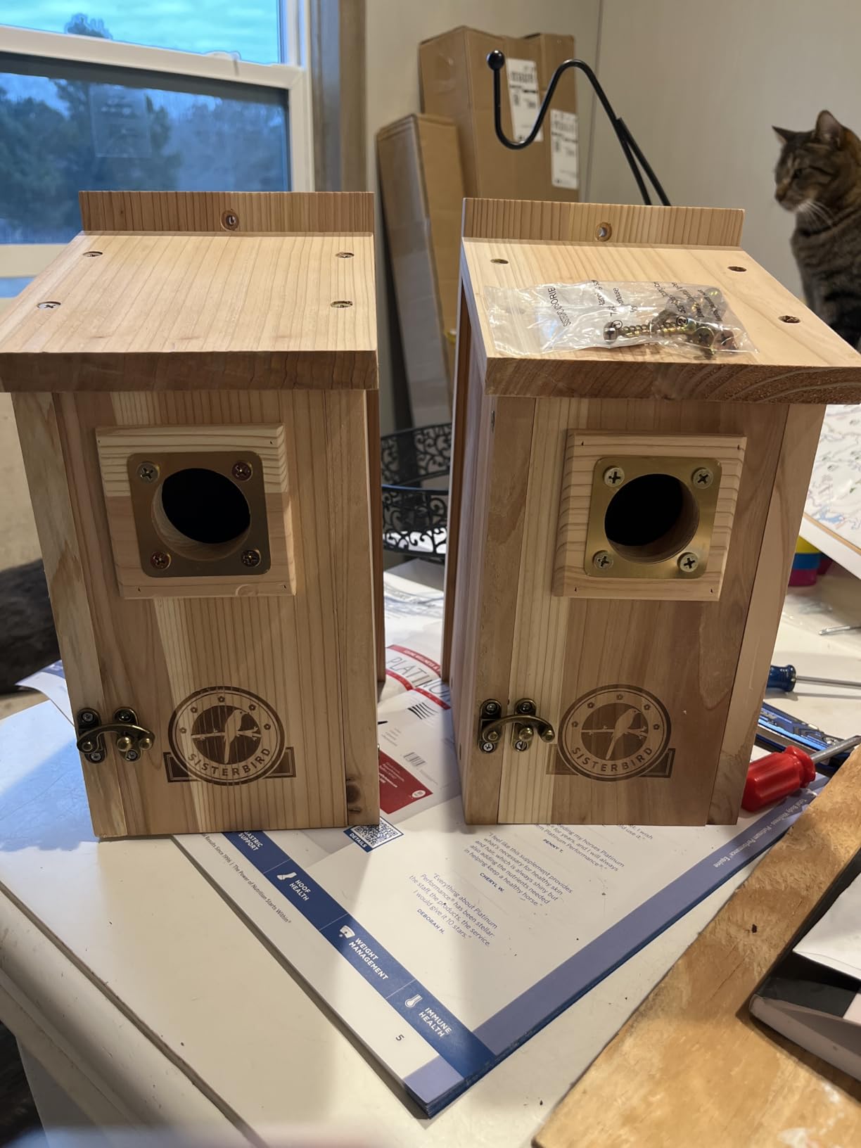 2 Pack Bird Houses for Outside Clearance with Copper Guard, Cedar Bird House Outdoor, Bluebird Finch Swallow Wren Chickadee customer photo 1