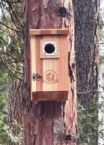 2 Pack Bird Houses for Outside Clearance with Copper Guard, Cedar Bird House Outdoor, Bluebird Finch Swallow Wren Chickadee customer photo 2