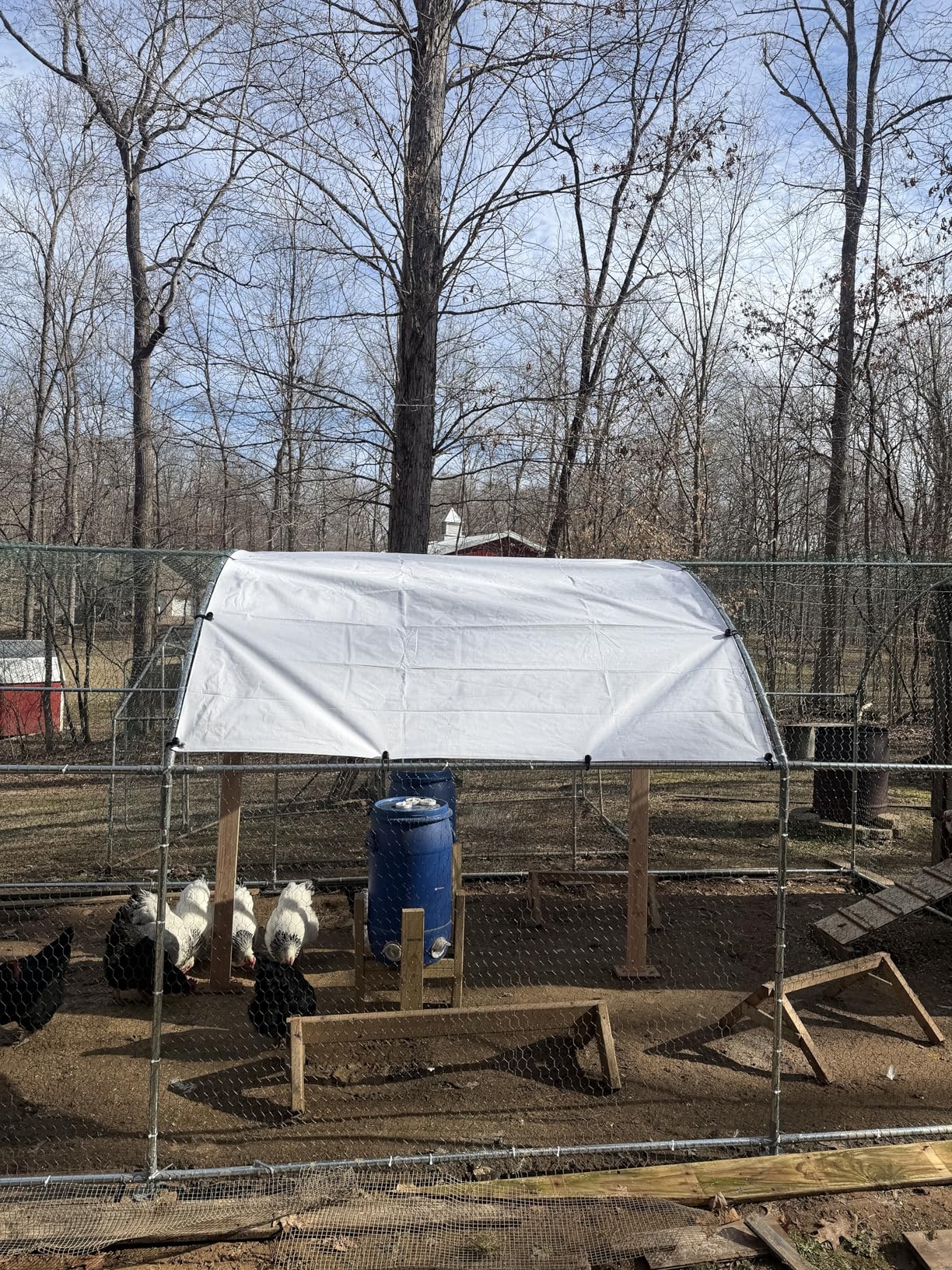 VEVOR Large Metal Chicken Coop, 9.8x13.1x6.5 ft Large Walk in Chicken Runs for Yard with Cover, Hen House Enclosure with Security Lock, Outdoor Duck Rabbit Cage Poultry Pen for Backyard, Farm, Yard customer photo 1