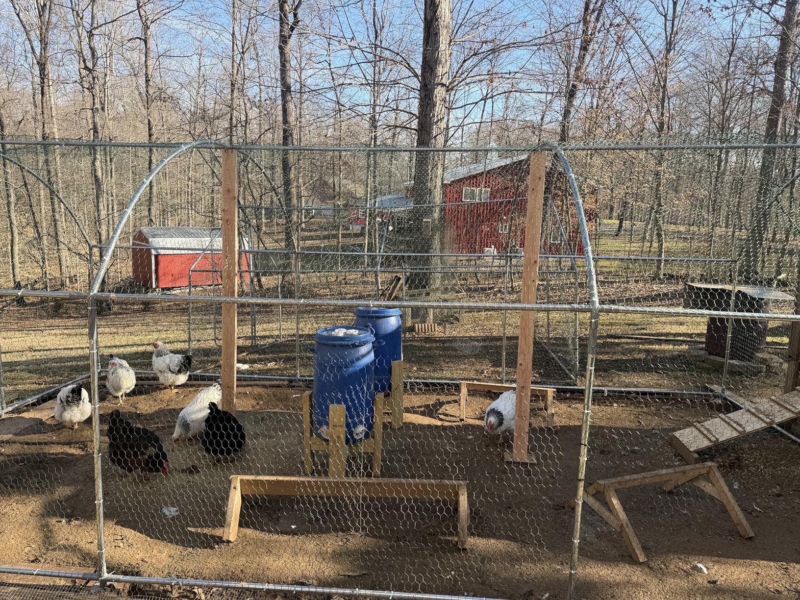 VEVOR Large Metal Chicken Coop, 9.8x13.1x6.5 ft Large Walk in Chicken Runs for Yard with Cover, Hen House Enclosure with Security Lock, Outdoor Duck Rabbit Cage Poultry Pen for Backyard, Farm, Yard customer photo 2