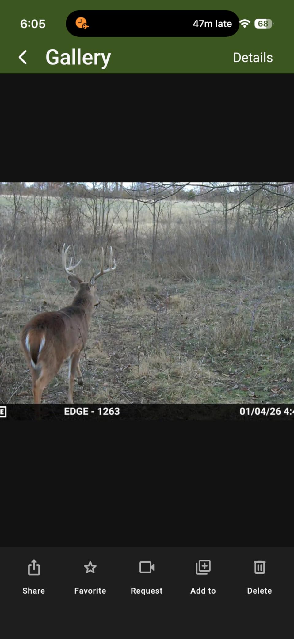 Moultrie Edge 2 Pro Cellular Trail Camera - Auto Connect Nationwide 4G LTE - On Demand 40MP Photo - 1440P Video with HD Audio - Ai False Trigger Elimination - 100 Ft Detection Range - No-Glow Flash customer photo 2
