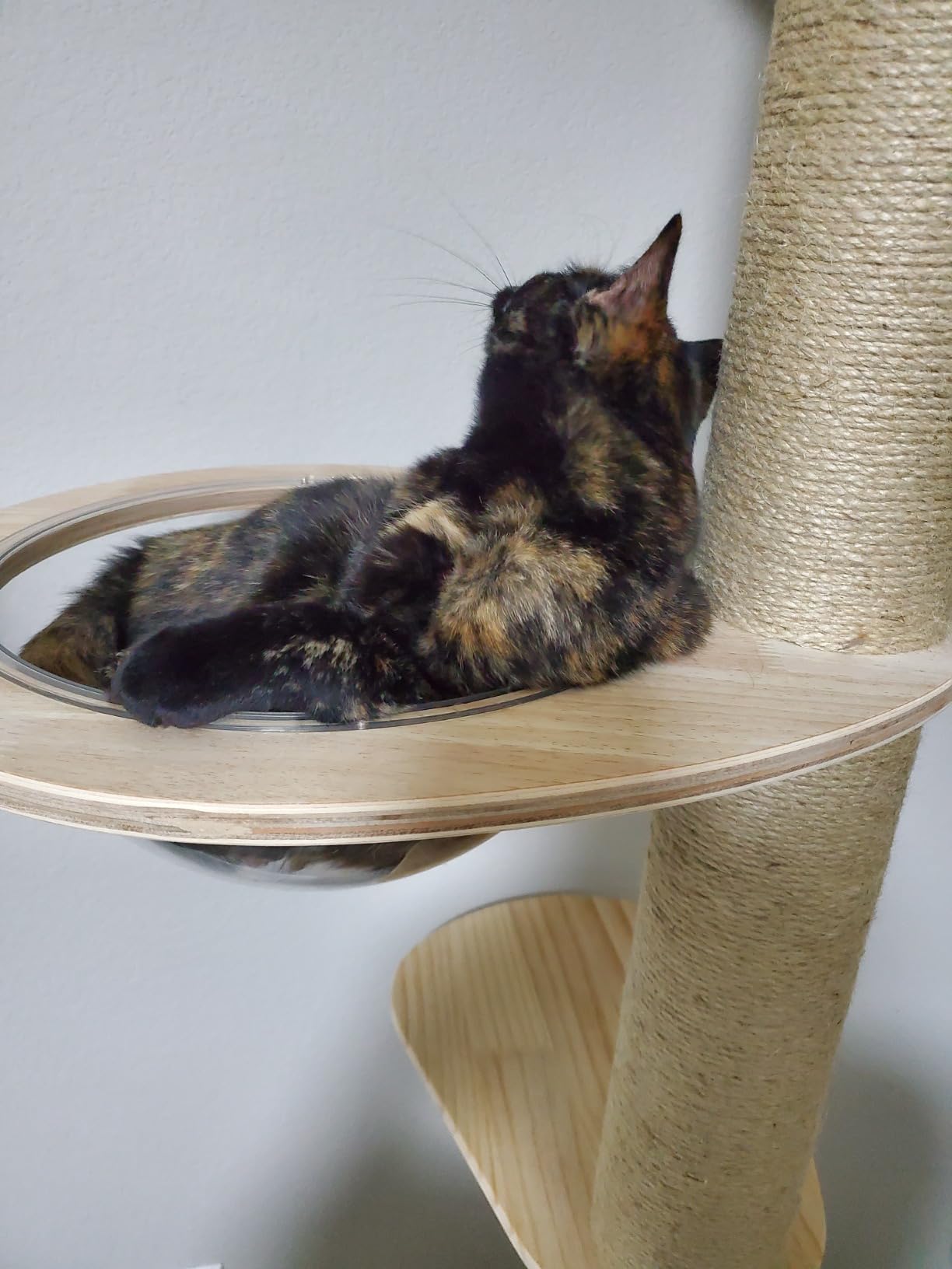 Floor to Ceiling Cat Trees Tower with Sisal Rope Scratching Post, Adjustable Height 82-117 inch, 5 Tier Cat Climbing Tree for Indoor Cats Large Adult, Modern Tall Cat Activity Tree(Deluxe Style 3) customer photo 1