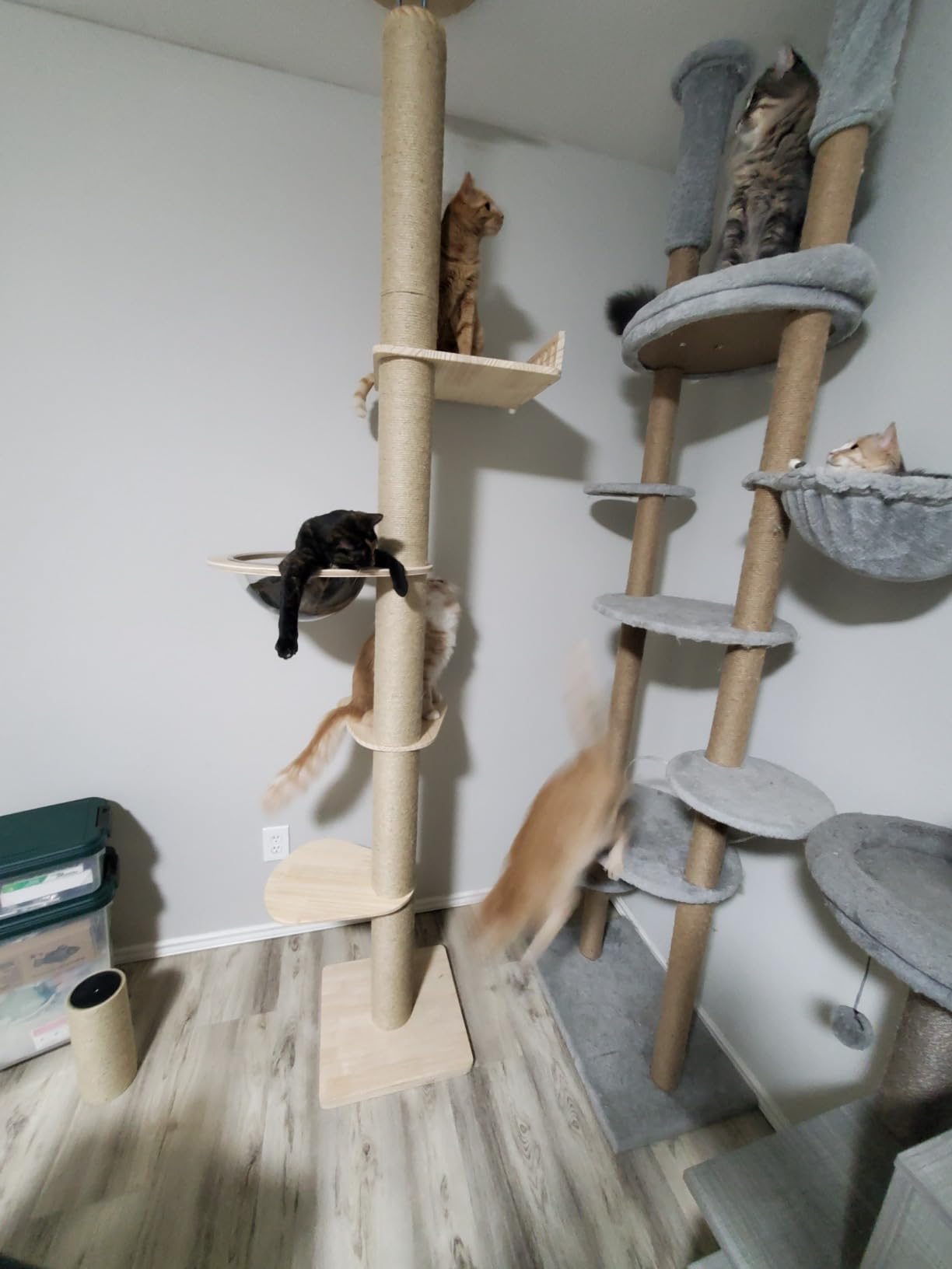 Floor to Ceiling Cat Trees Tower with Sisal Rope Scratching Post, Adjustable Height 82-117 inch, 5 Tier Cat Climbing Tree for Indoor Cats Large Adult, Modern Tall Cat Activity Tree(Deluxe Style 3) customer photo 2