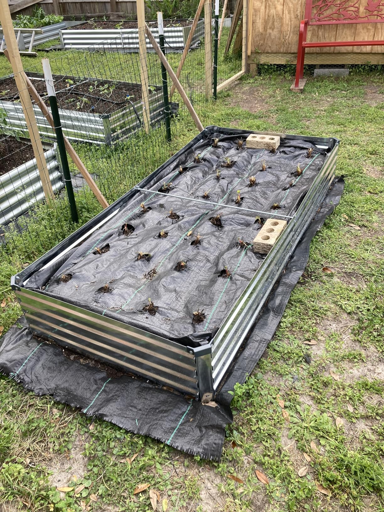 2 Pack 6x3x1FT Galvanized Raised Garden Beds Kit Outdoor Metal Gardening Planter Box for Vegetable Elevated Flower Herbs,Silver customer photo 1