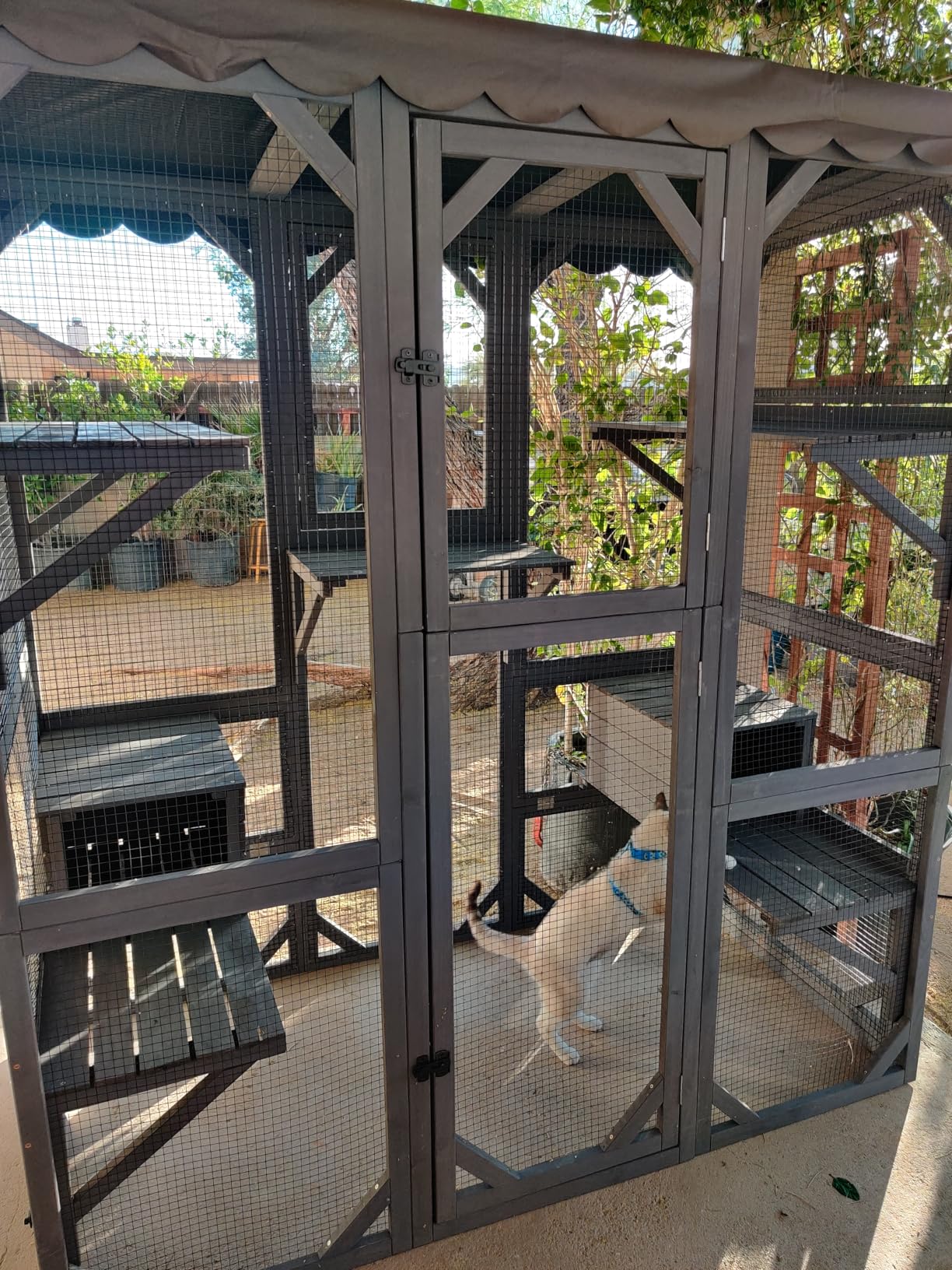 Wooden Catio Outdoor Cat Enclosure, Large Luxury Kitty-House with 7 Jumping Platforms & Weatherproof Asphalt Roof, Walk-in Kitty Kennel Condo Shelter and 2 Napping Houses (Grey, Large) customer photo 1