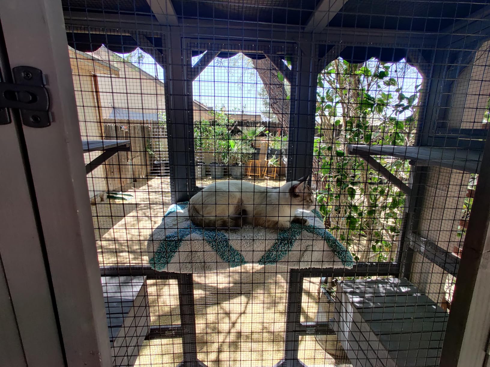 Wooden Catio Outdoor Cat Enclosure, Large Luxury Kitty-House with 7 Jumping Platforms & Weatherproof Asphalt Roof, Walk-in Kitty Kennel Condo Shelter and 2 Napping Houses (Grey, Large) customer photo 2