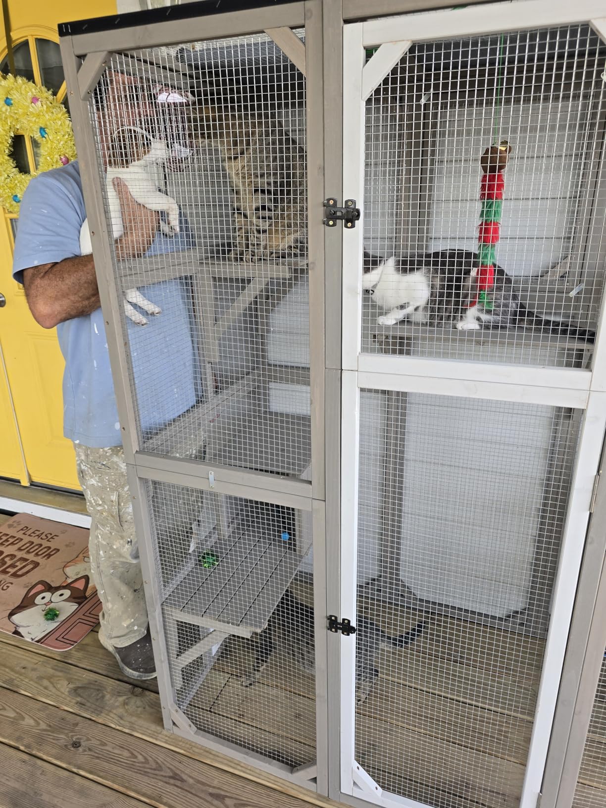 Catio Outdoor Cat Enclosure Large Window Cat House Walk in Kitty Cage with Multi-Level Platforms, Waterproof Roof for Mulitiple Cats (59