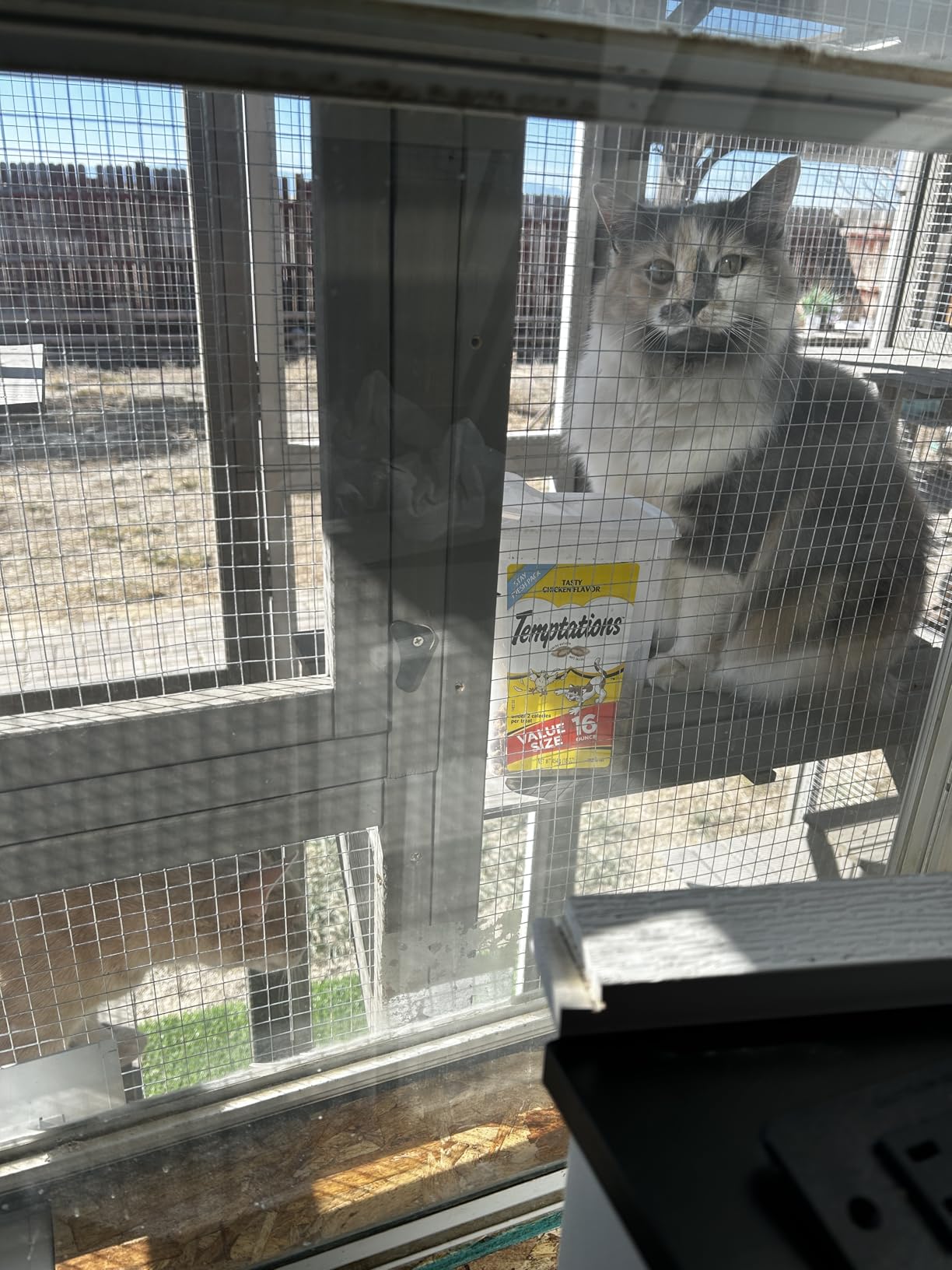 Catio Outdoor Cat Enclosure Large Window Cat House Walk in Kitty Cage with Multi-Level Platforms, Waterproof Roof for Mulitiple Cats (59