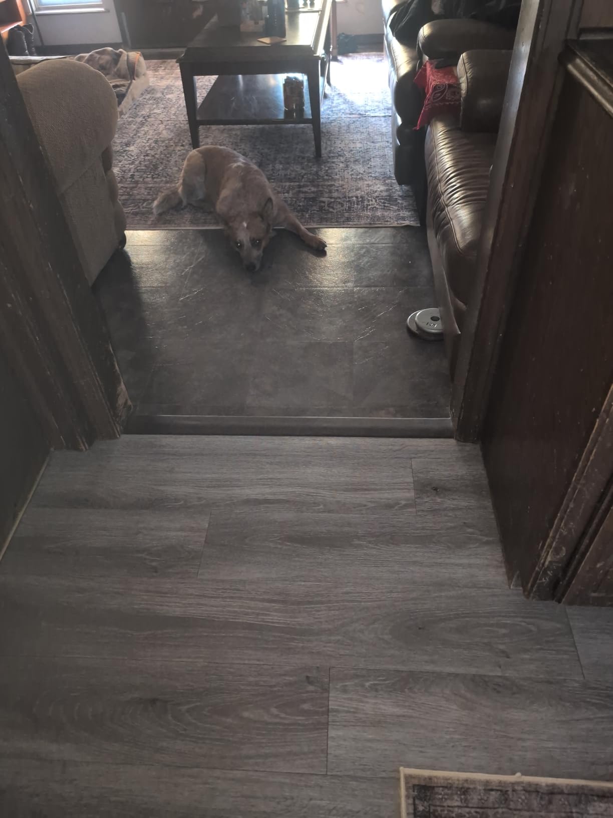 Floor/Door Flat Transition Strip & Self Adhesive Vinyl Edge Trim - Laminate Gap Covering Joining Strip customer photo 1