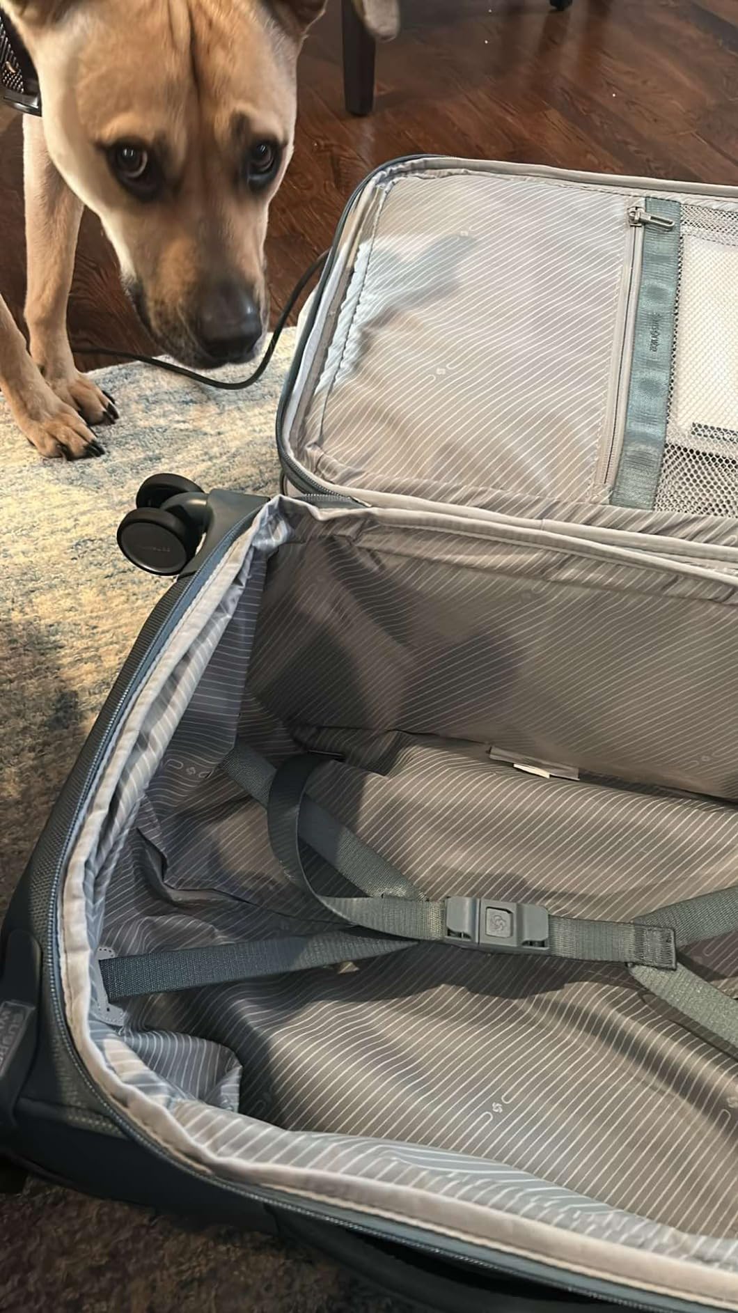 Samsonite UpLIFT Lightweight Softside Carry-On Luggage with Spinner Wheels - Expandable customer photo 1