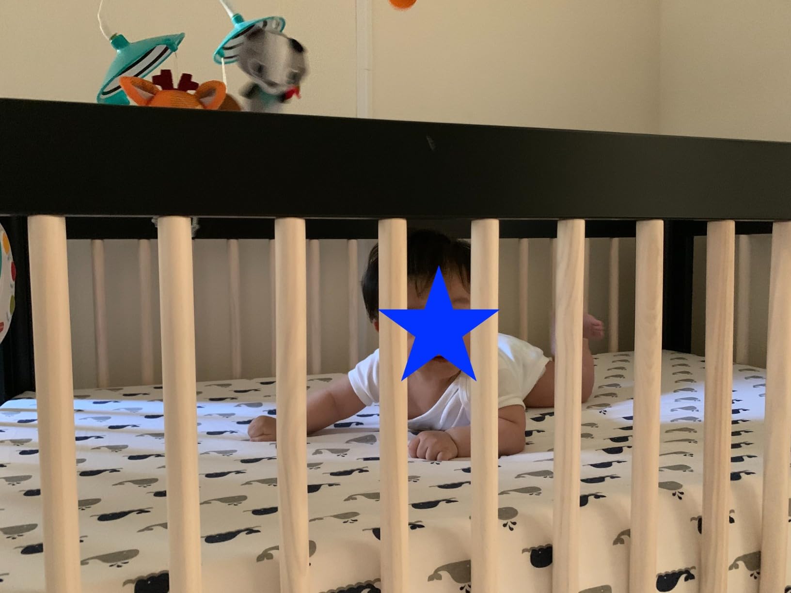 Babyletto Lolly 3-in-1 Baby Crib Convertible to Toddler Bed & Daybed - GREENGUARD Gold Certified - 4 Adjustable Heights - Includes Toddler Conversion Kit - Made of 100% Solid Wood - Washed Natural customer photo 1