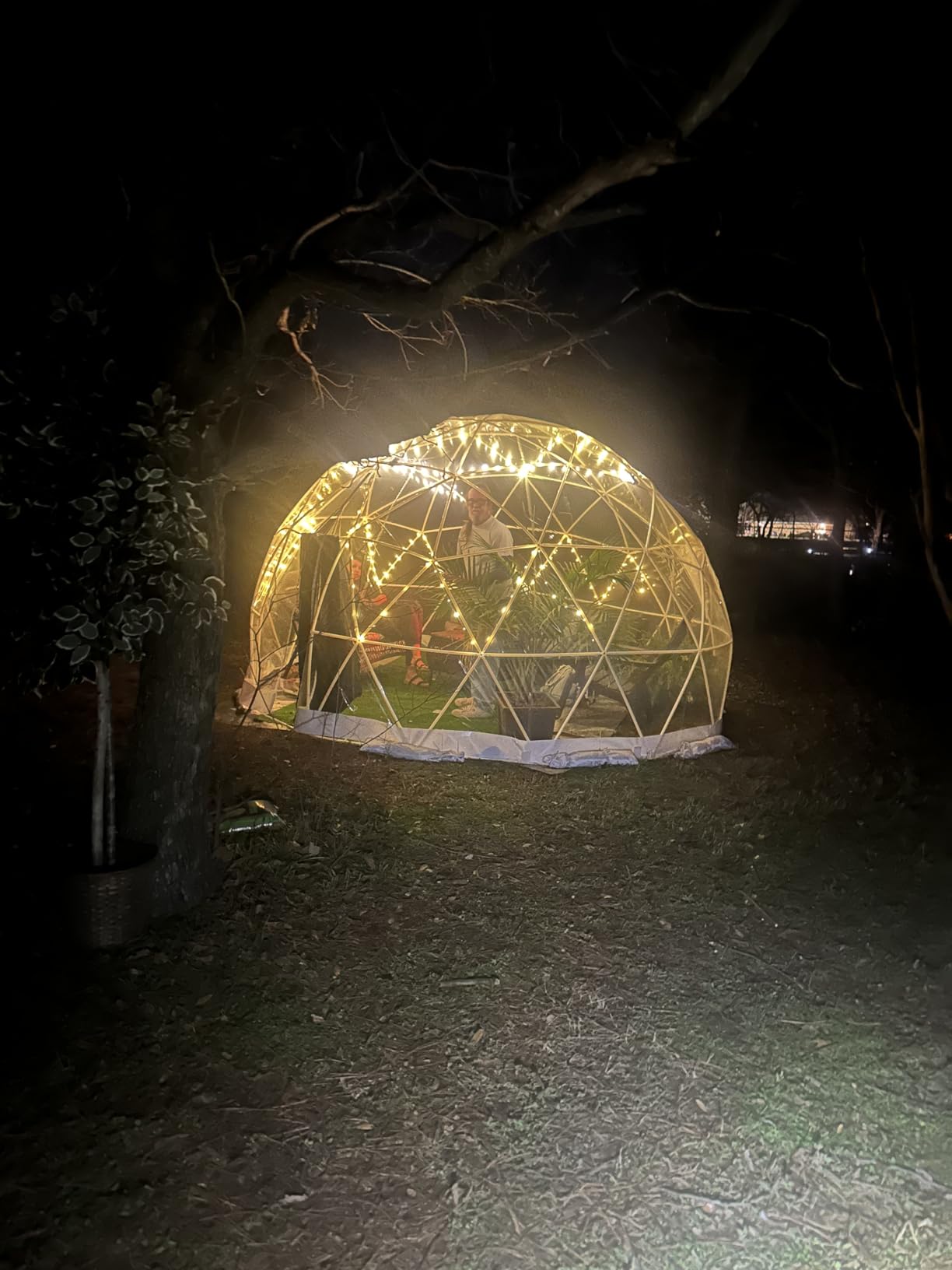 12FT Garden Dome Tent, Geodesic Dome Greenhouse with PVC Clear Cover, Waterproof Garden Bubble Dome Tent House with 2 x 10M Light Strings for Outdoor, Patio, Party customer photo 1