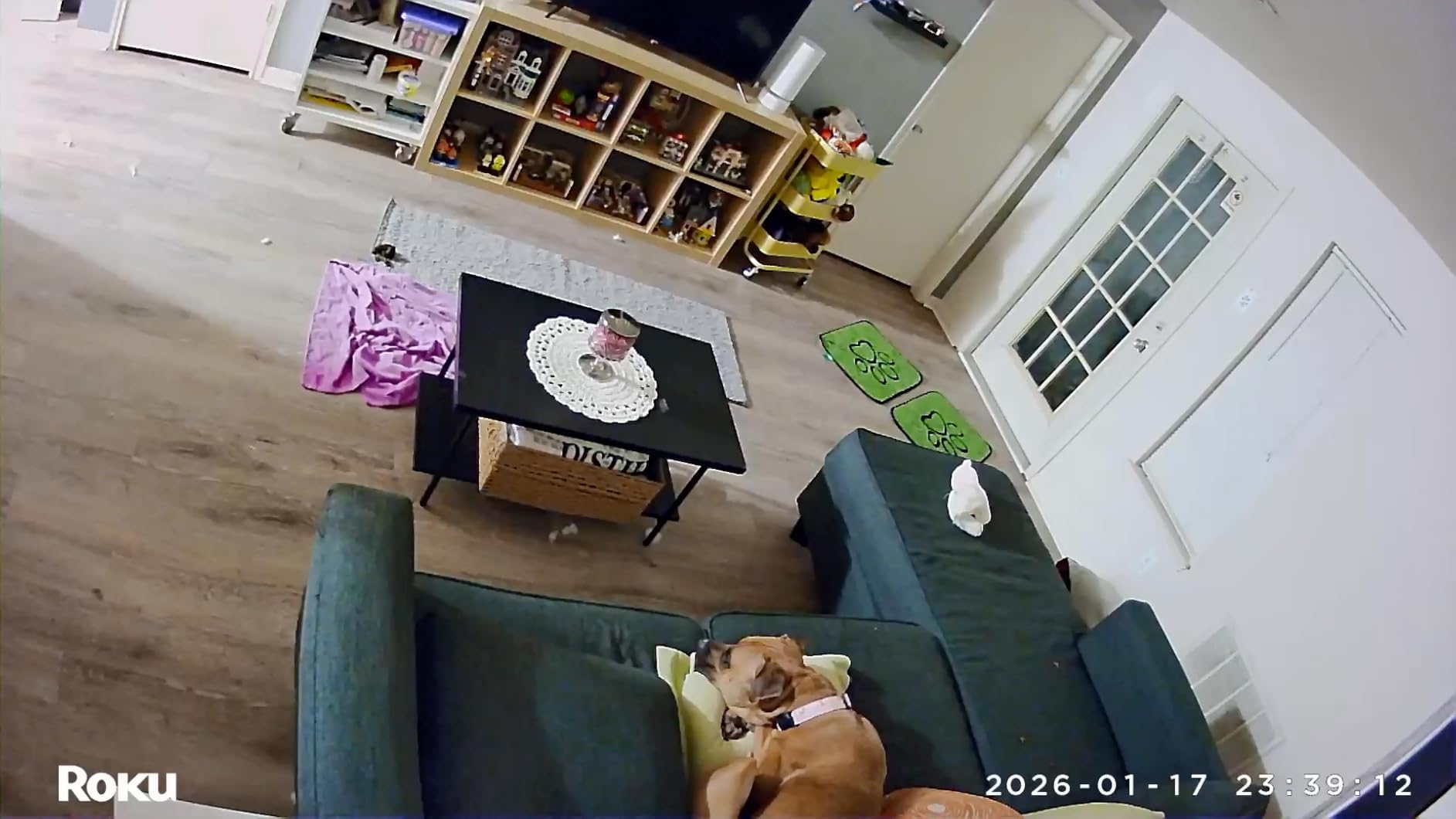 Indoor Camera - Home Security - 2-Pack - Wired Security Camera & Pet Monitor with 1080p HD Color Night Vision, Works with Alexa & Google, Motion & Sound Detection, WDR & WiFi 6 customer photo 2