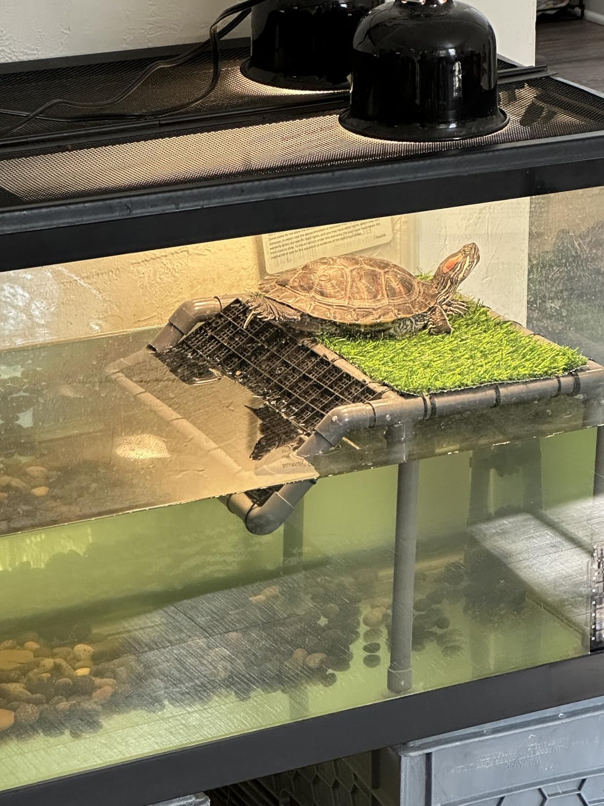 Extra Large Standing Turtle Basking Platform, 13