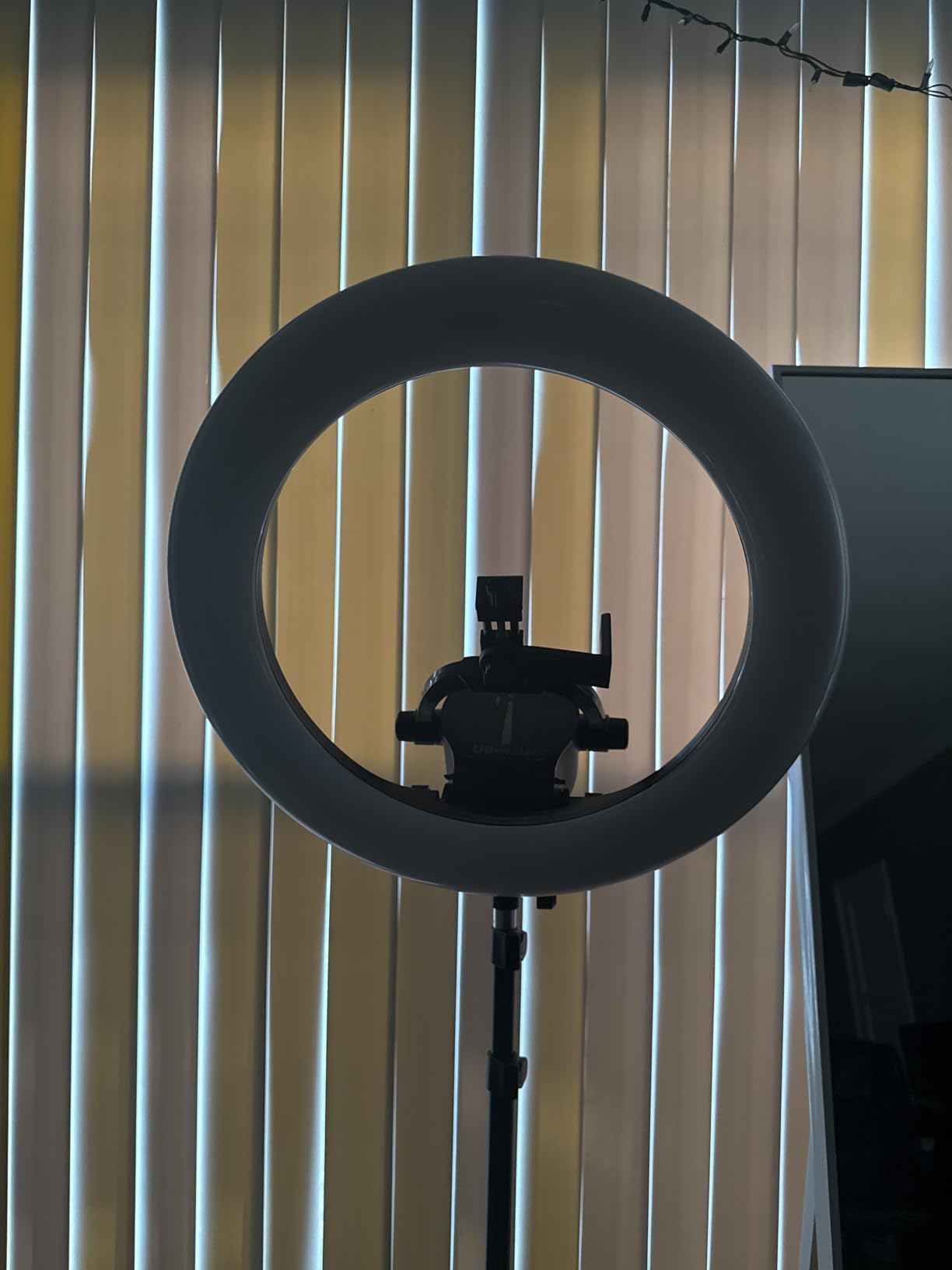 UBeesize 22'' Ring Light with 72'' Stand, 65W Large Ring Light with Phone Holder, Dimmable LED Light for Makeup Barber Stylist Tattoo YouTube TikTok Photography customer photo 2